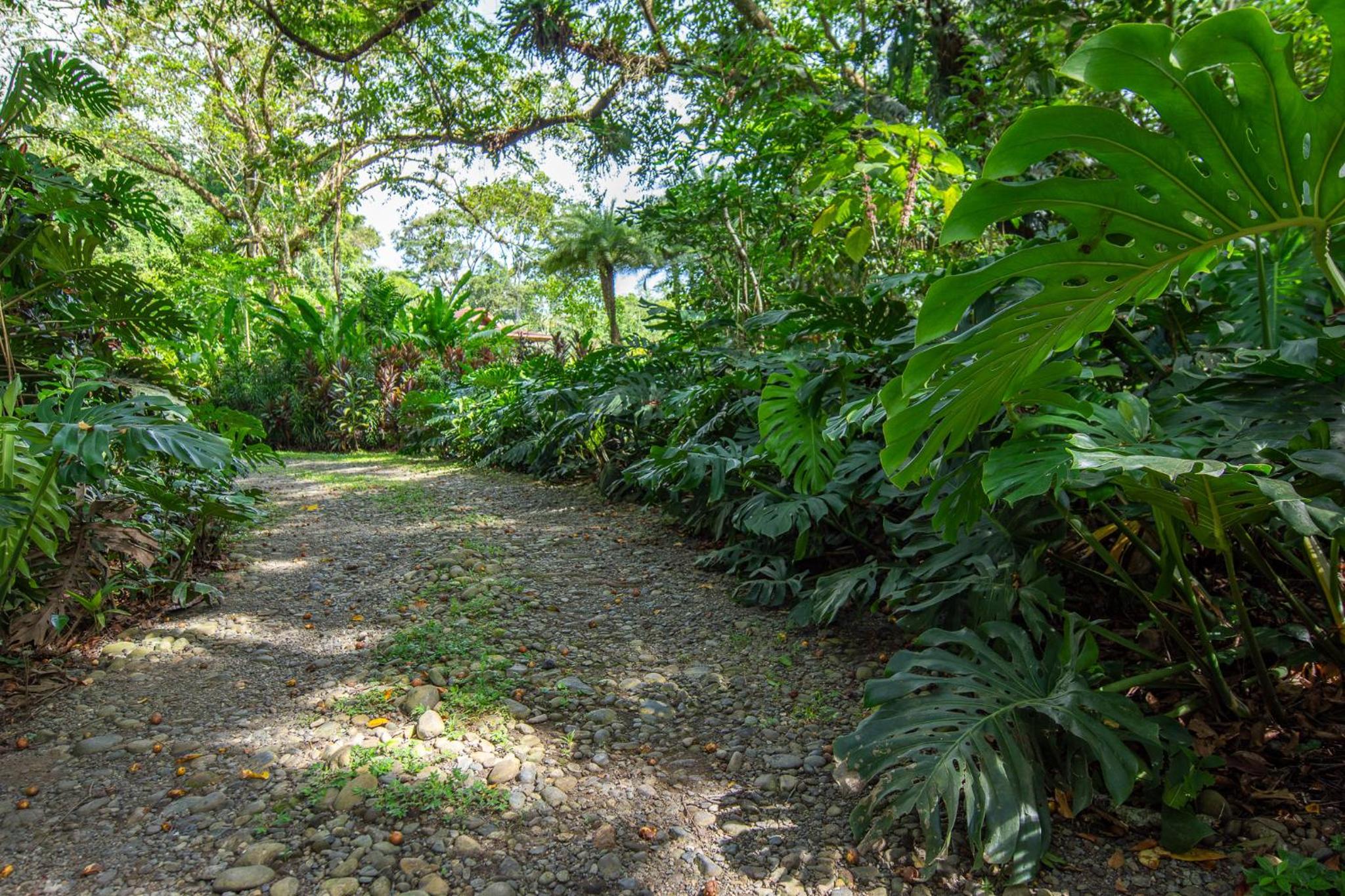 Miagoa Beachfront Villa Perfect for Families