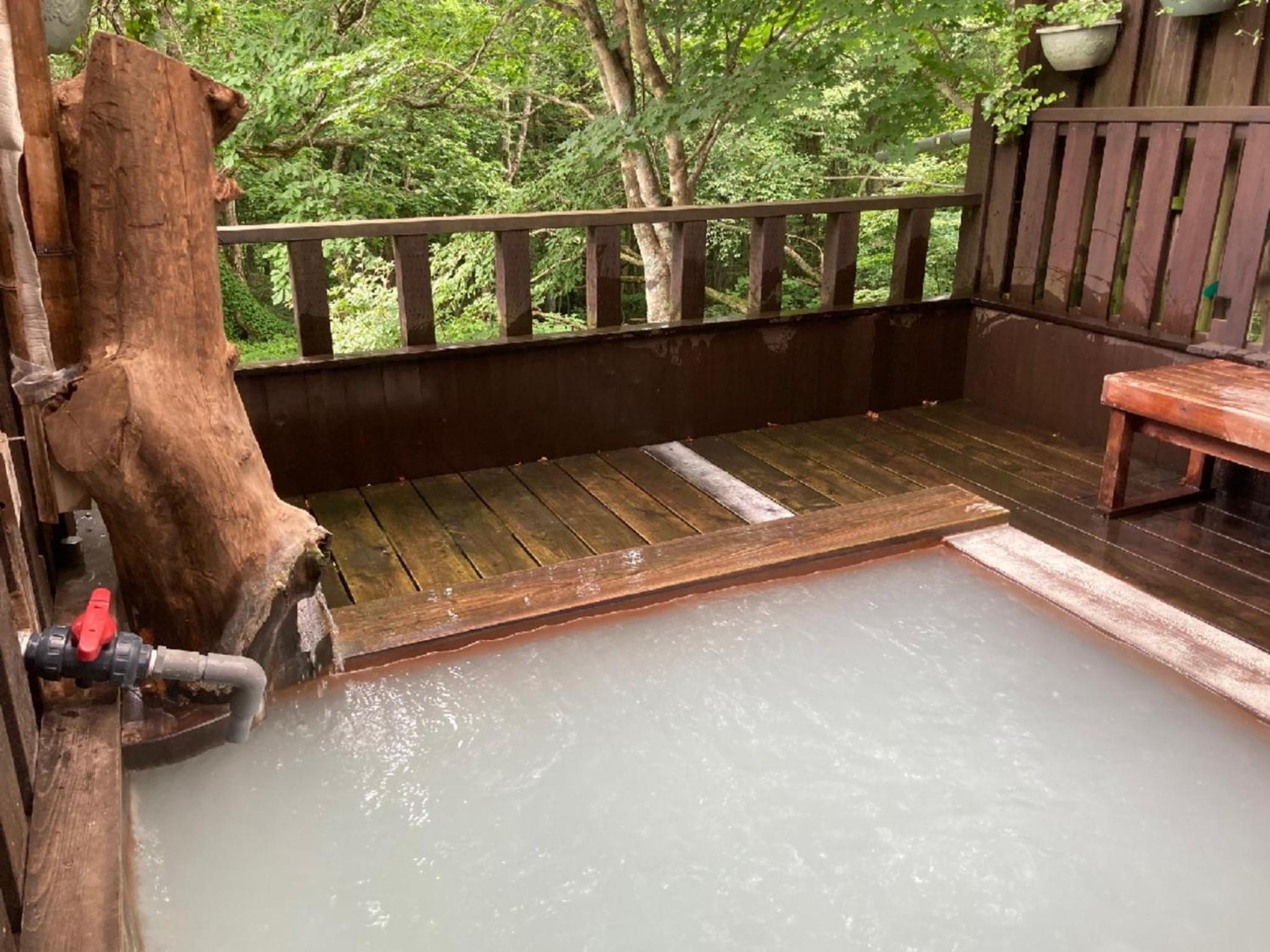 Shinyu Onsen Kurikomaso - Vacation STAY 45507v view 4