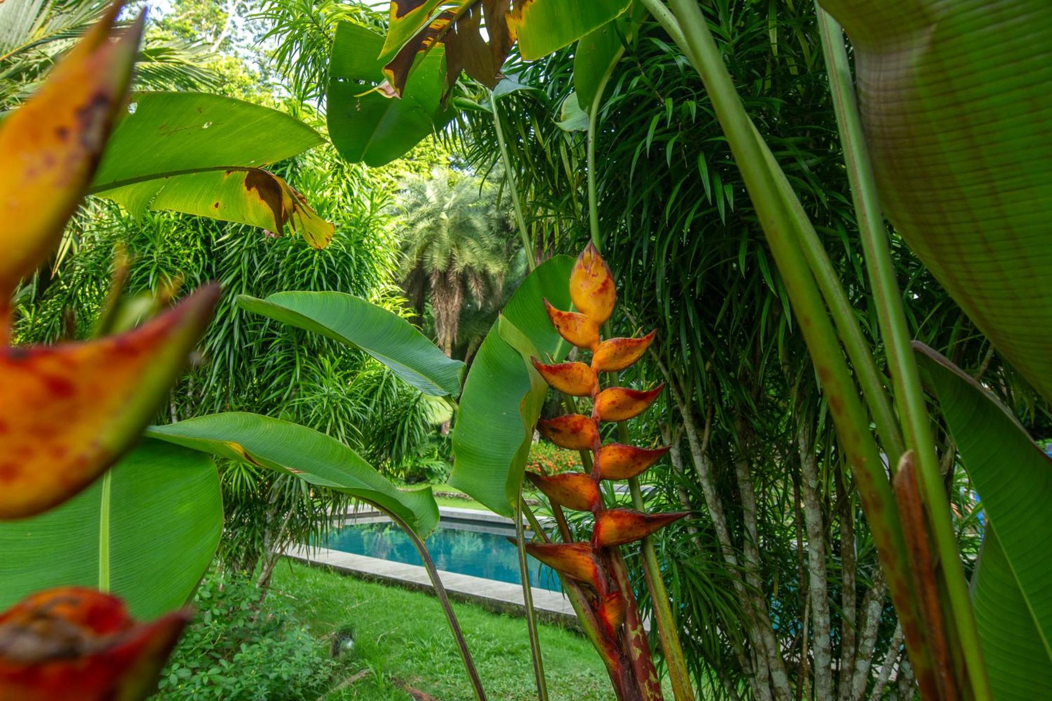 Miagoa Beachfront Villa Perfect for Families