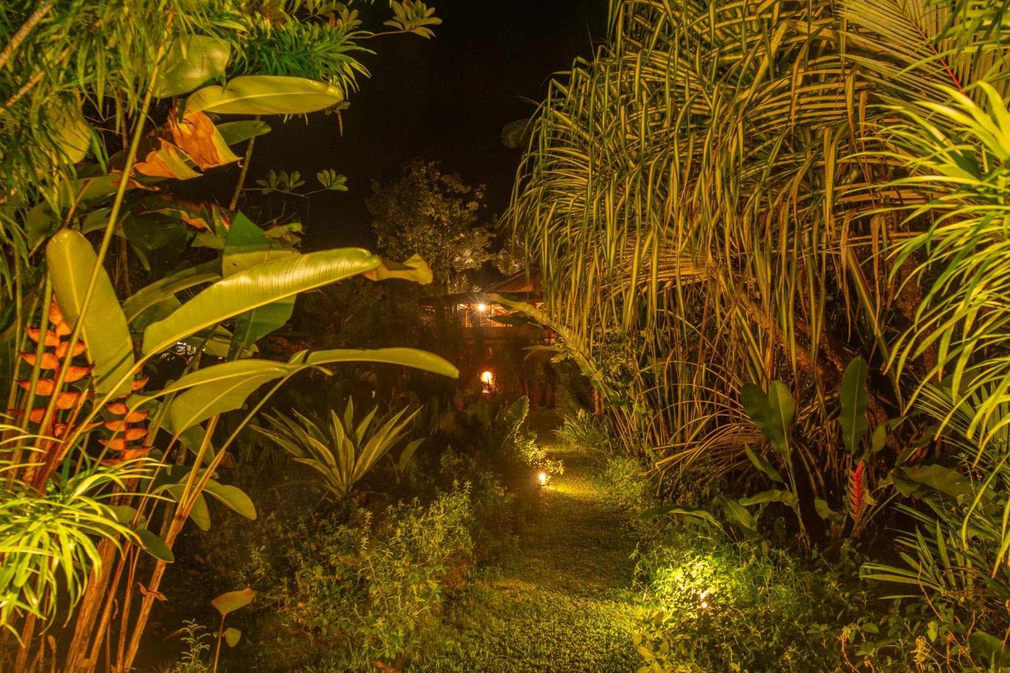Miagoa Beachfront Villa Perfect for Families
