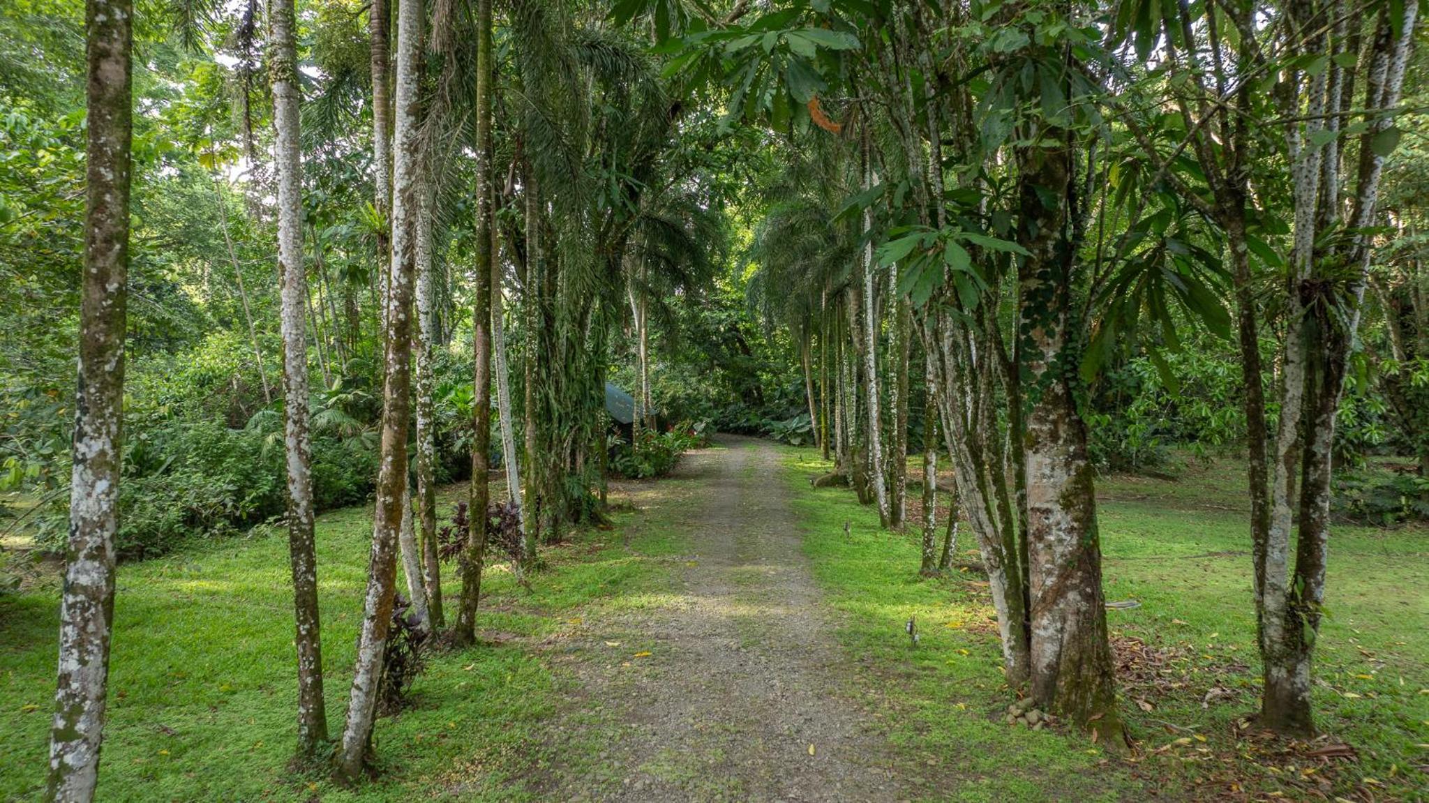 Miagoa Beachfront Villa Perfect for Families