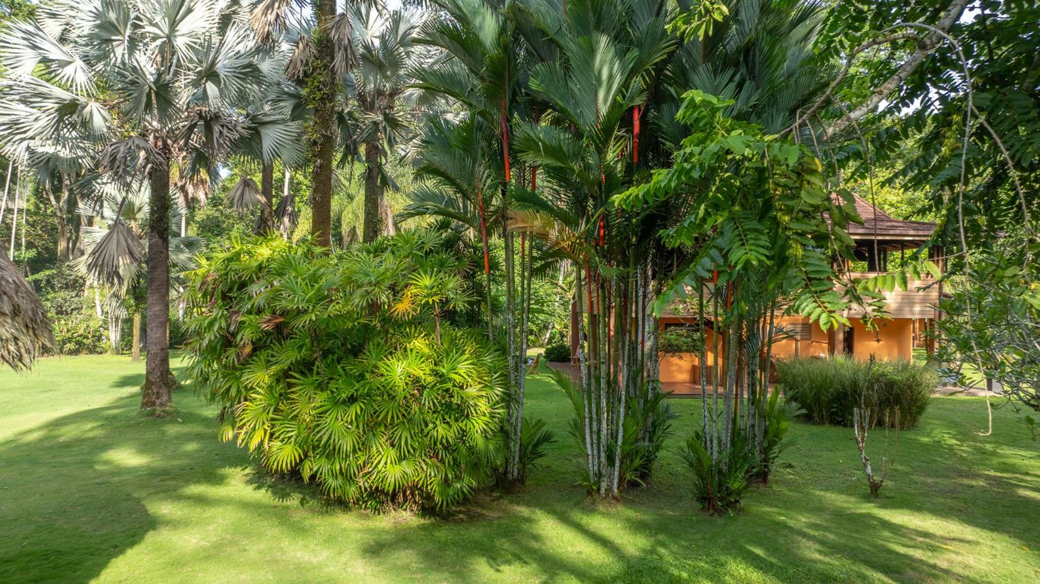 Miagoa Beachfront Villa Perfect for Families