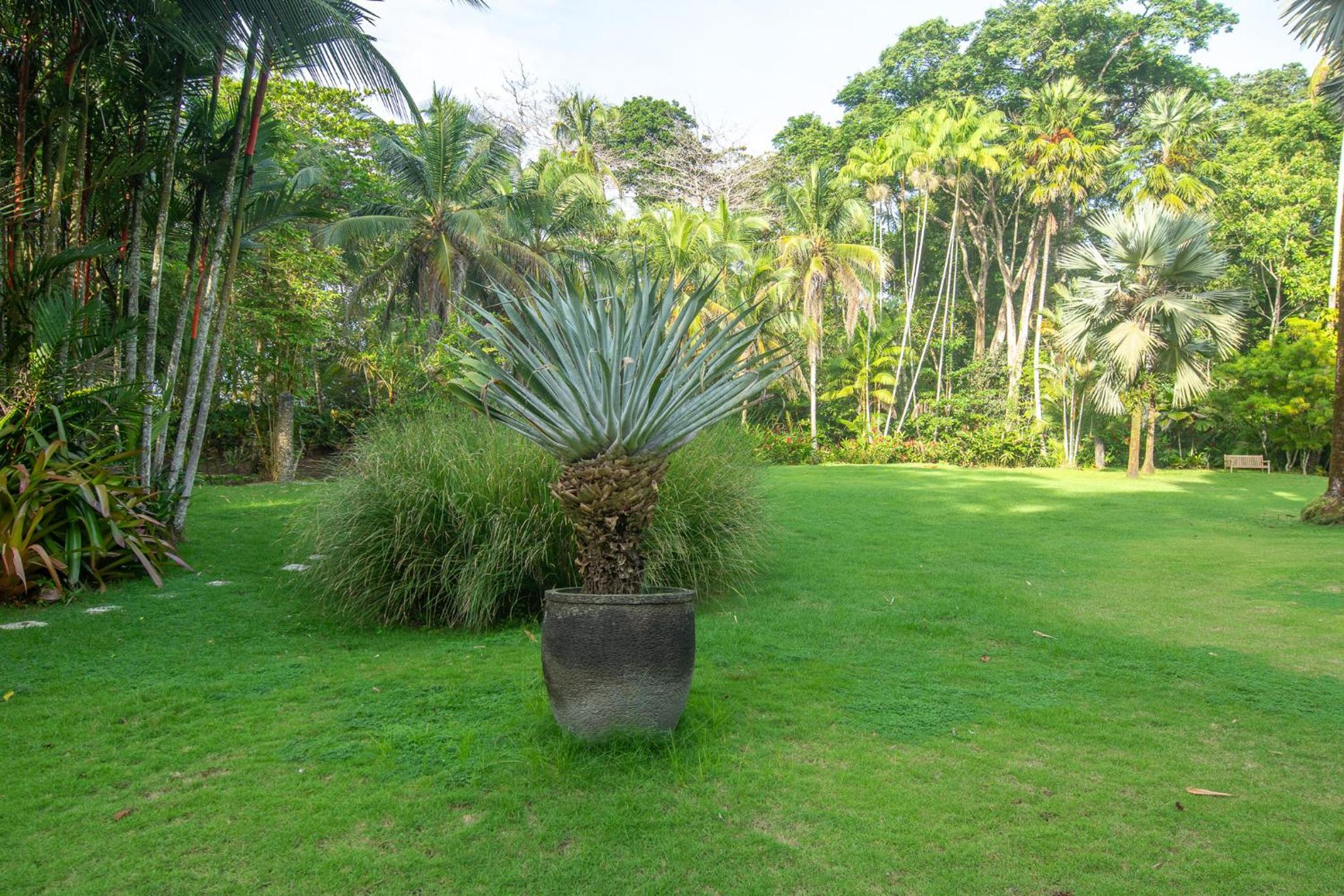 Miagoa Beachfront Villa Perfect for Families