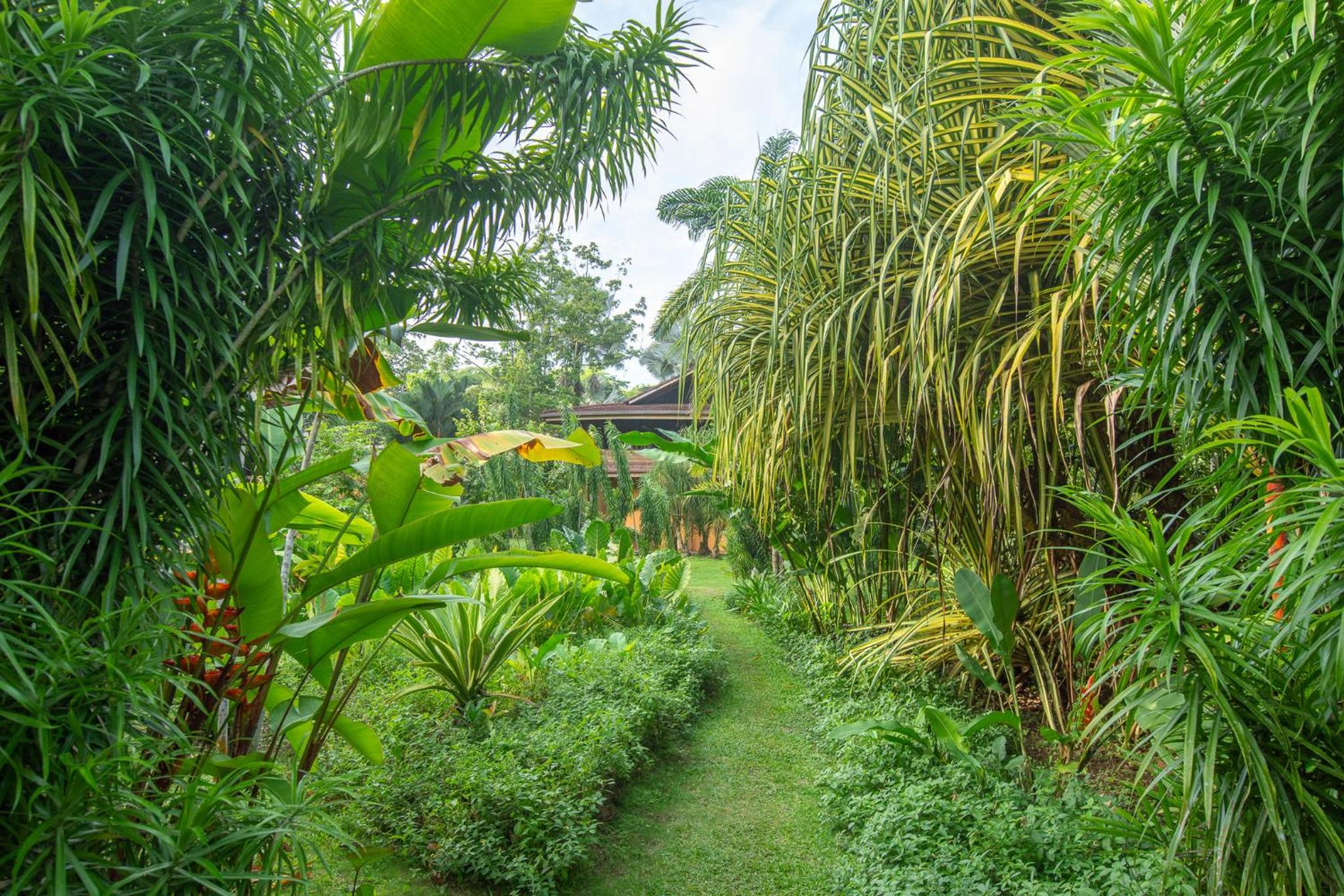 Miagoa Beachfront Villa Perfect for Families