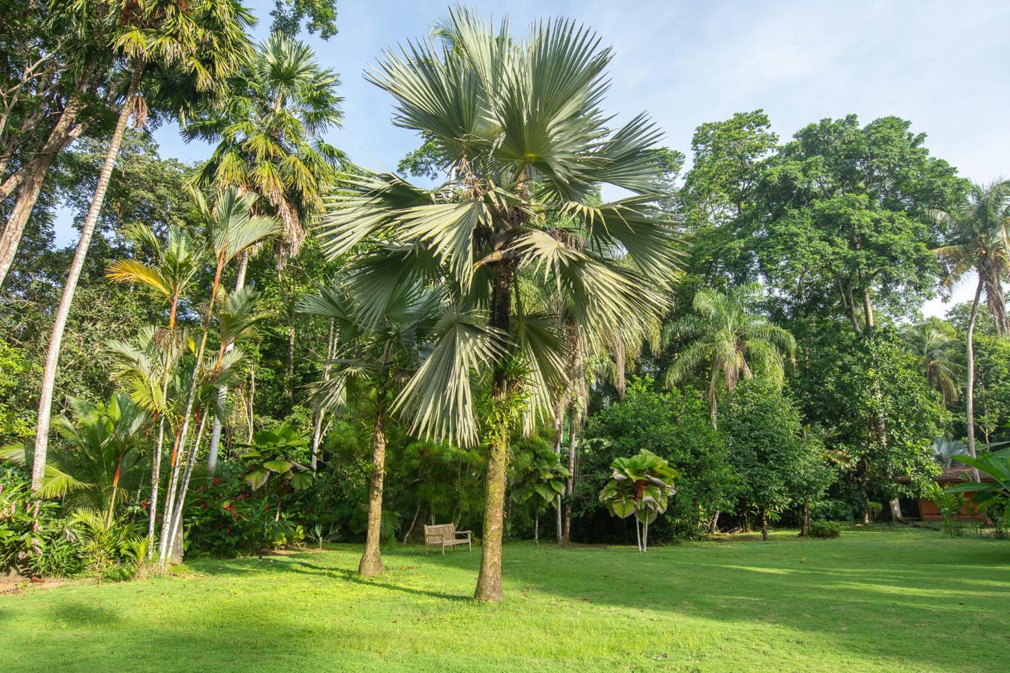 Miagoa Beachfront Villa Perfect for Families