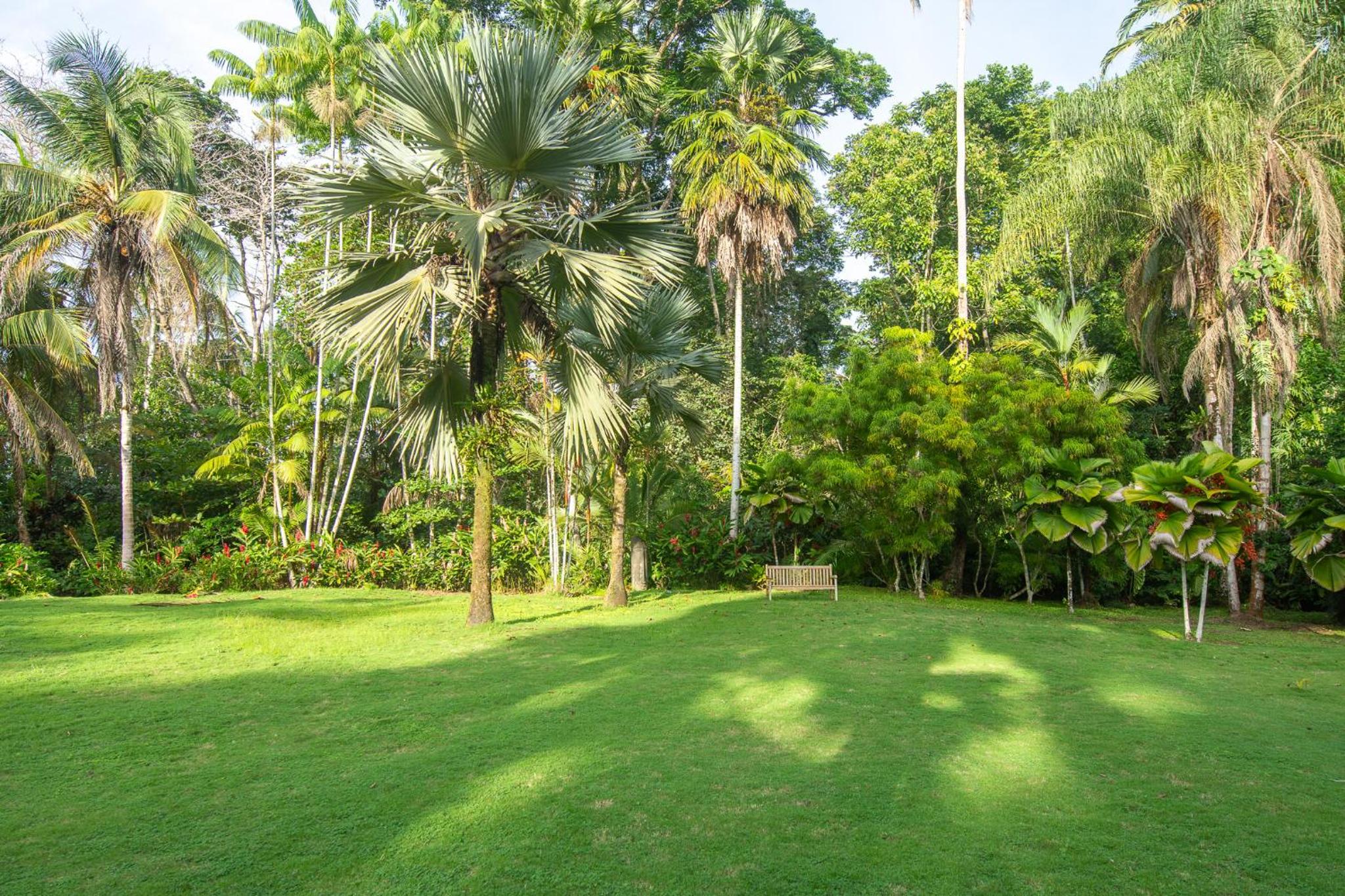 Miagoa Beachfront Villa Perfect for Families
