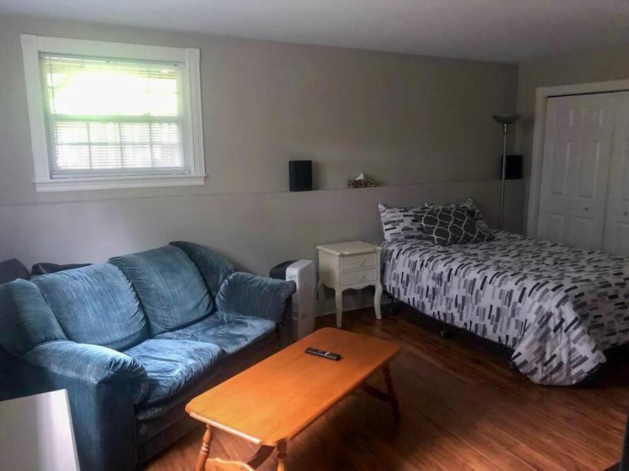 Cozy & Private basement suite, centrally located