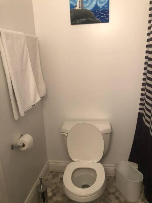 Cozy & Private basement suite, centrally located