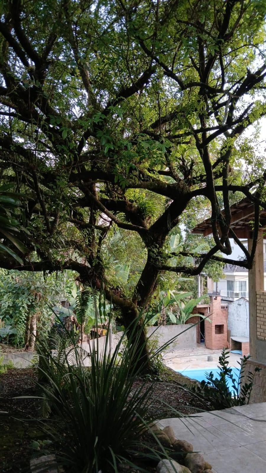 Hostel Morro do Finder