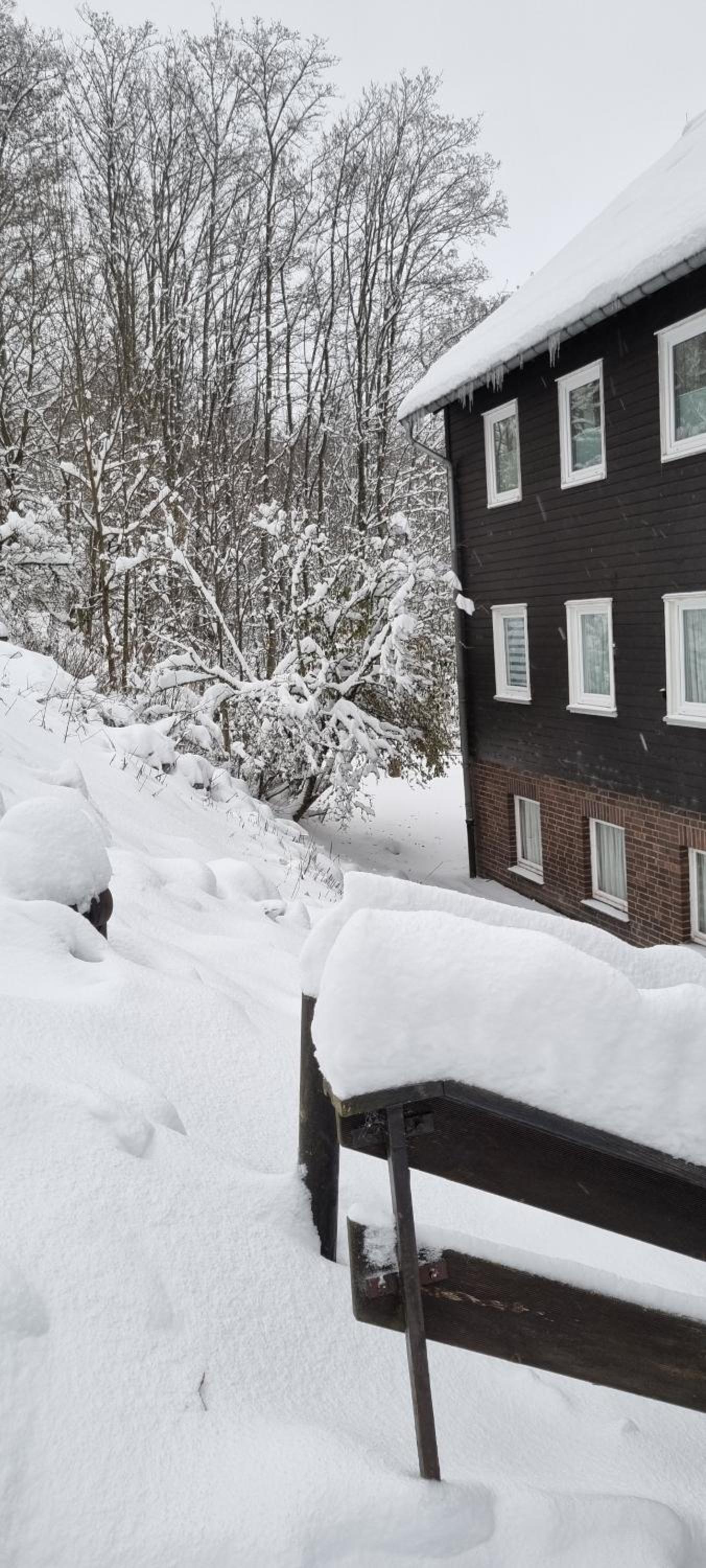 Ferienwohnung-Harzidyllisch