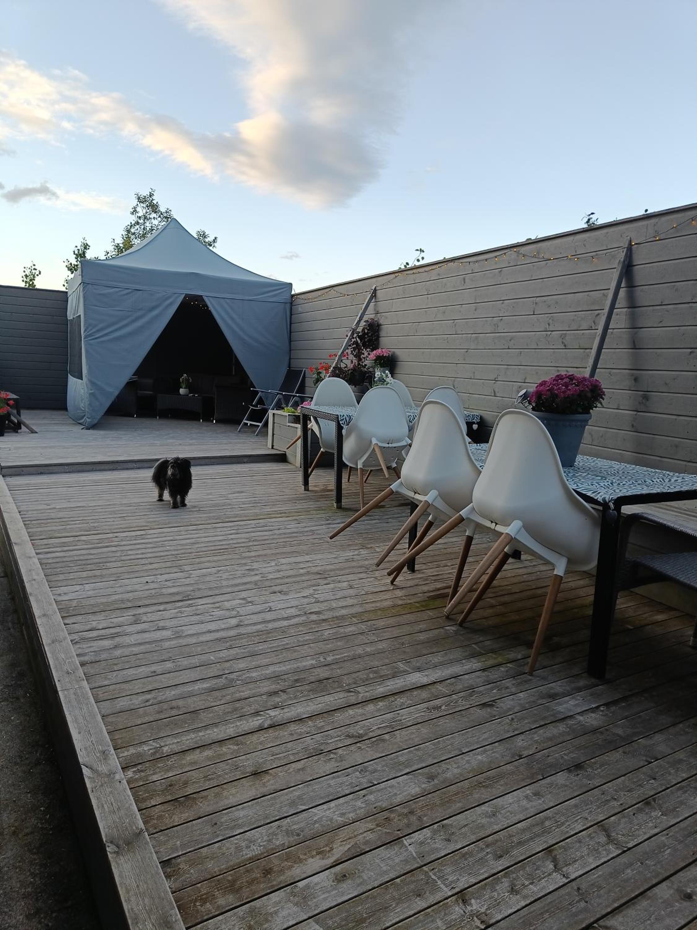 Photo 13