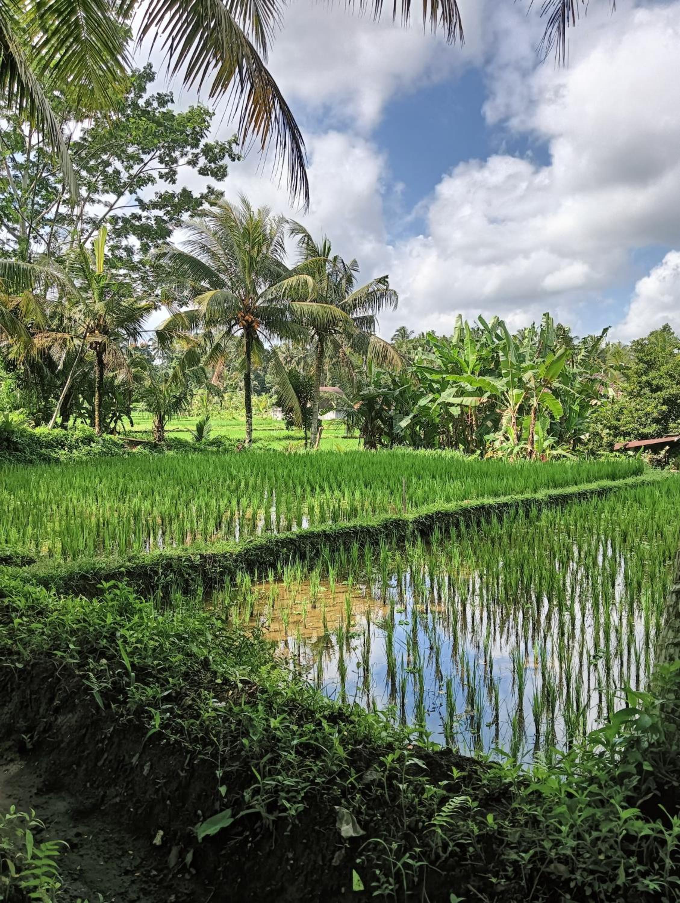 Rumah Guci
