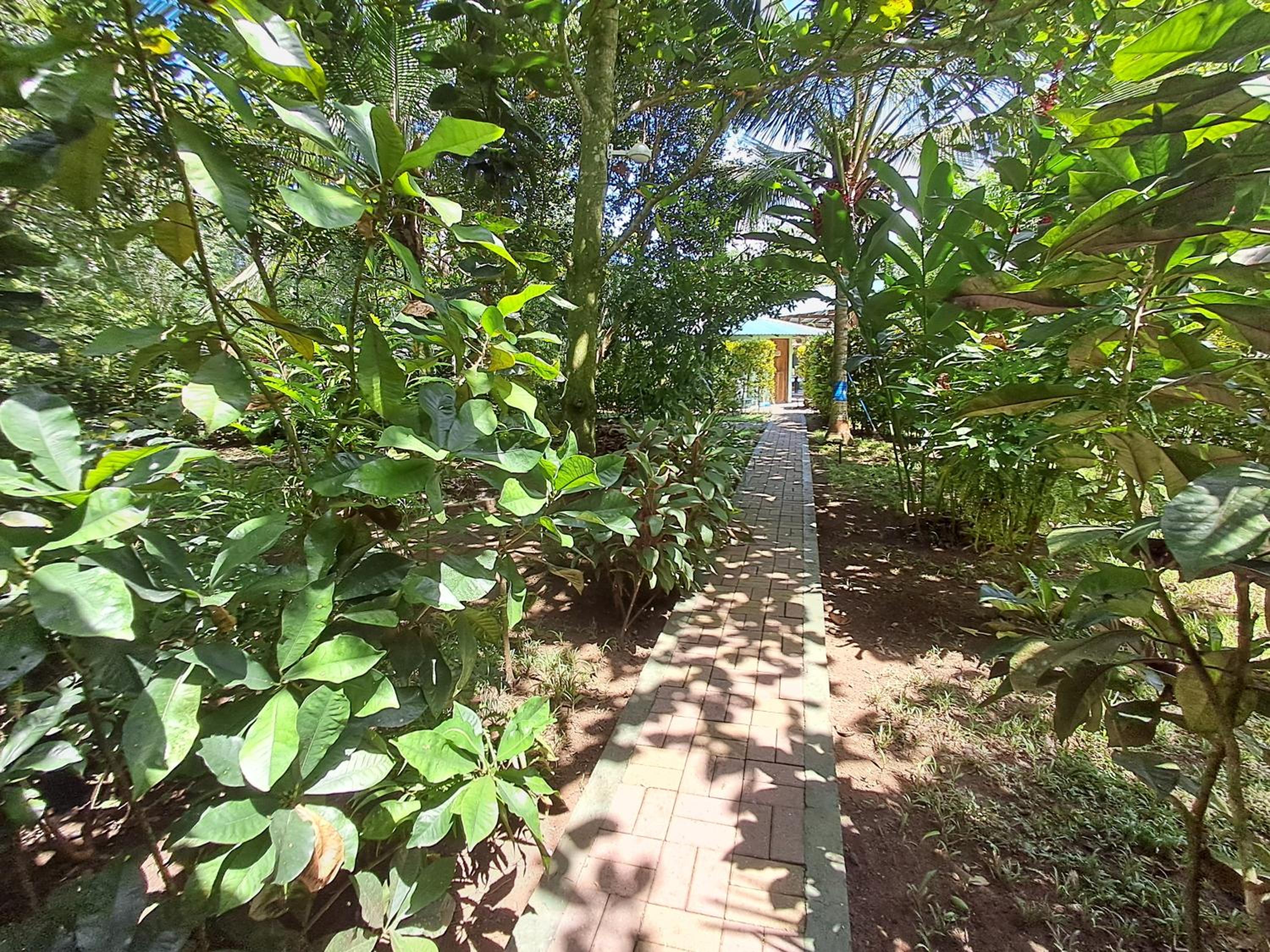 New Caribe Point