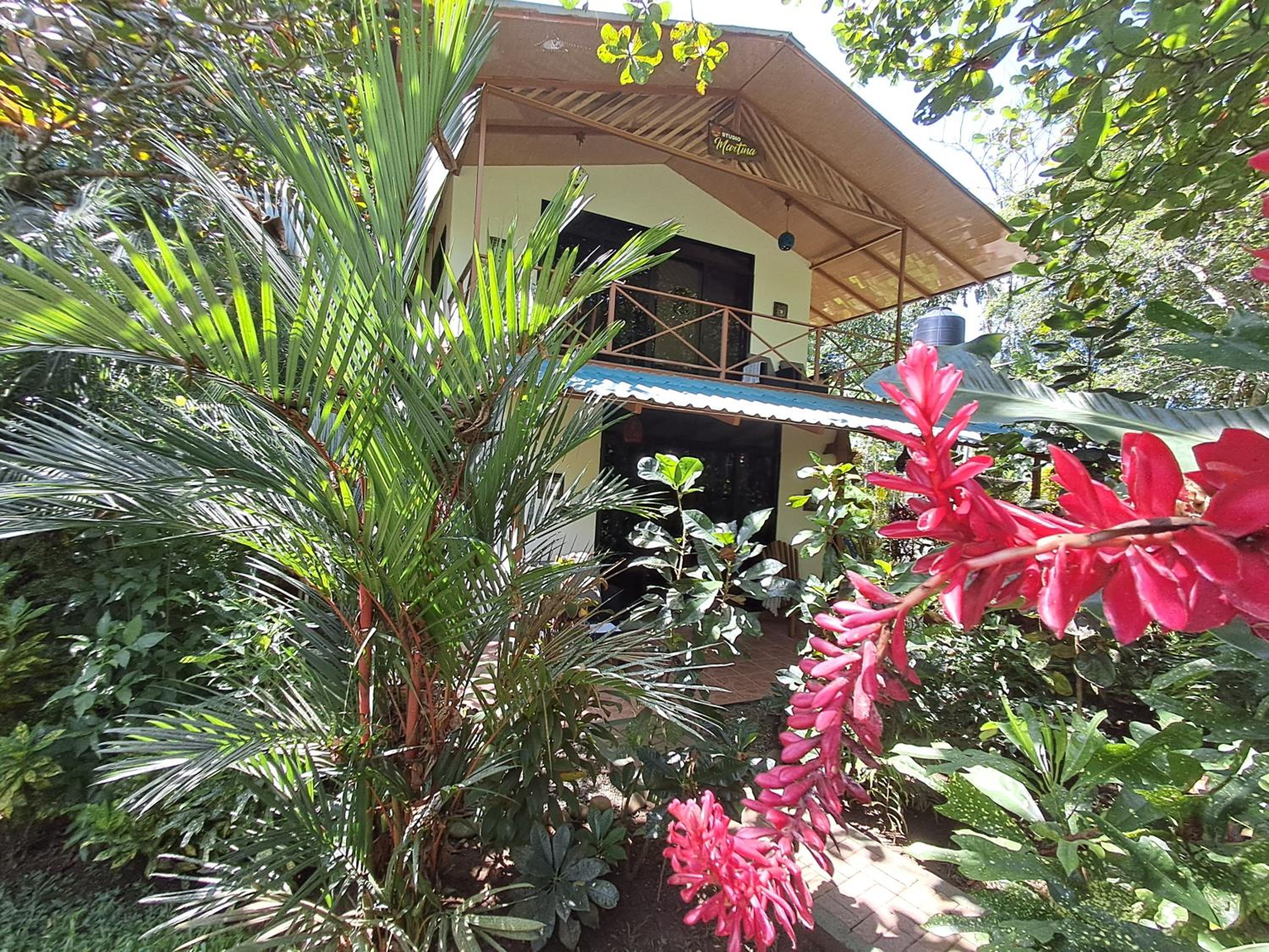 New Caribe Point