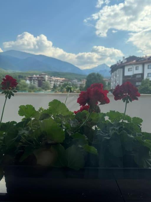 Bansko Vacations - Anna Lux - Property Image 12