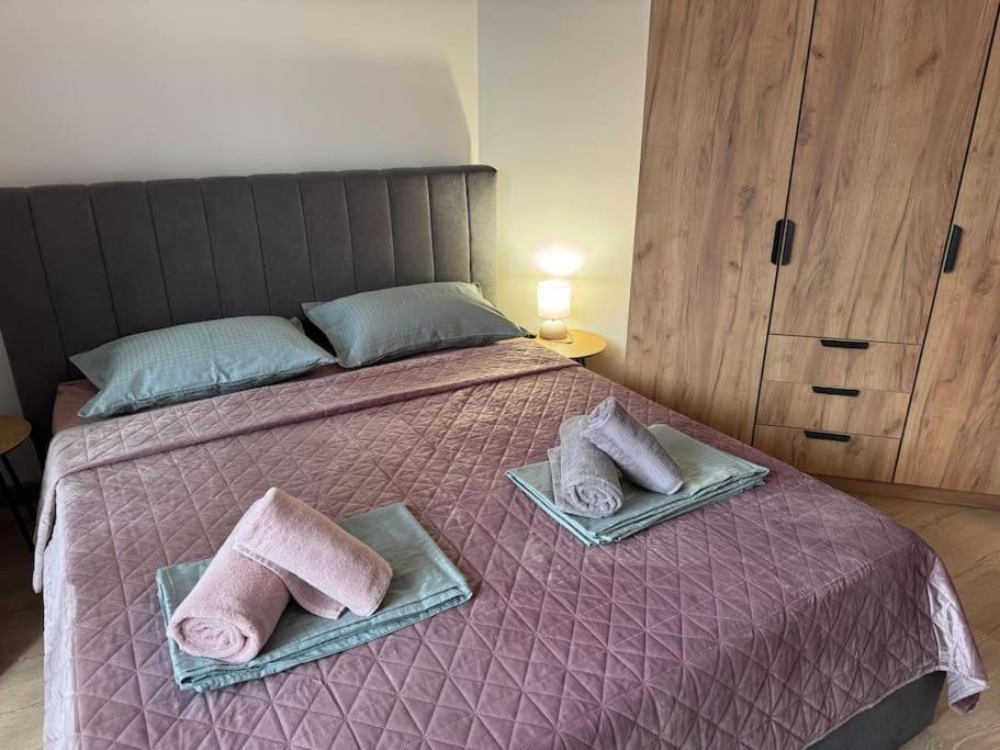 Bansko Vacations - Anna Lux - Property Image 23
