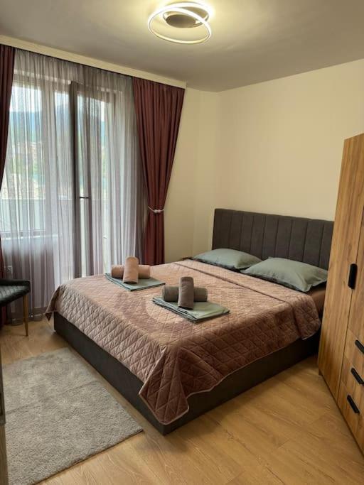 Bansko Vacations - Anna Lux - Property Image 22