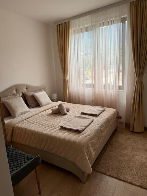 Bansko Vacations - Anna Lux - Property Image 20
