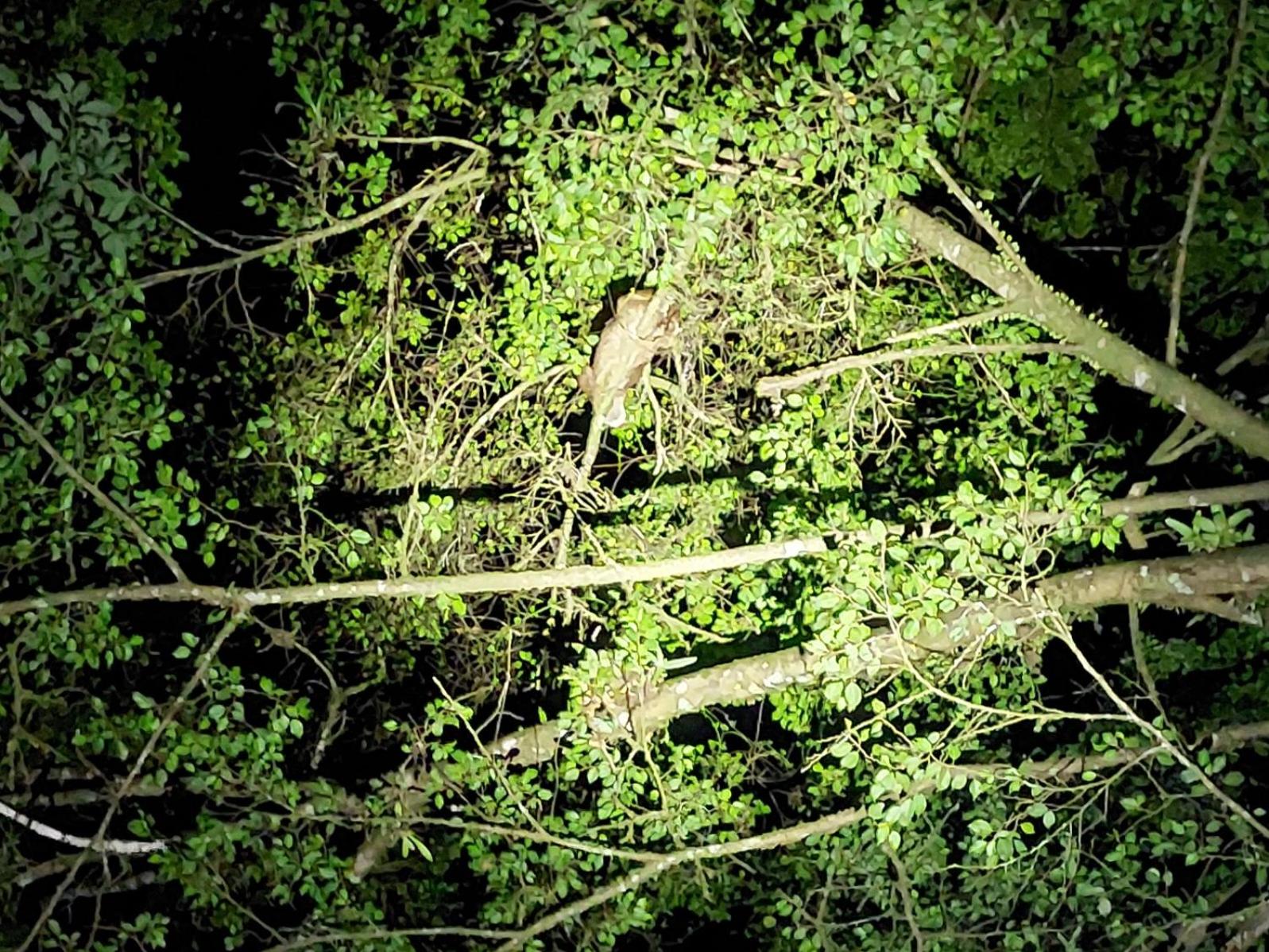 HOPE GARDEN, SARAPIQUÍ, We connect you with the Sarapiquí tropical forest