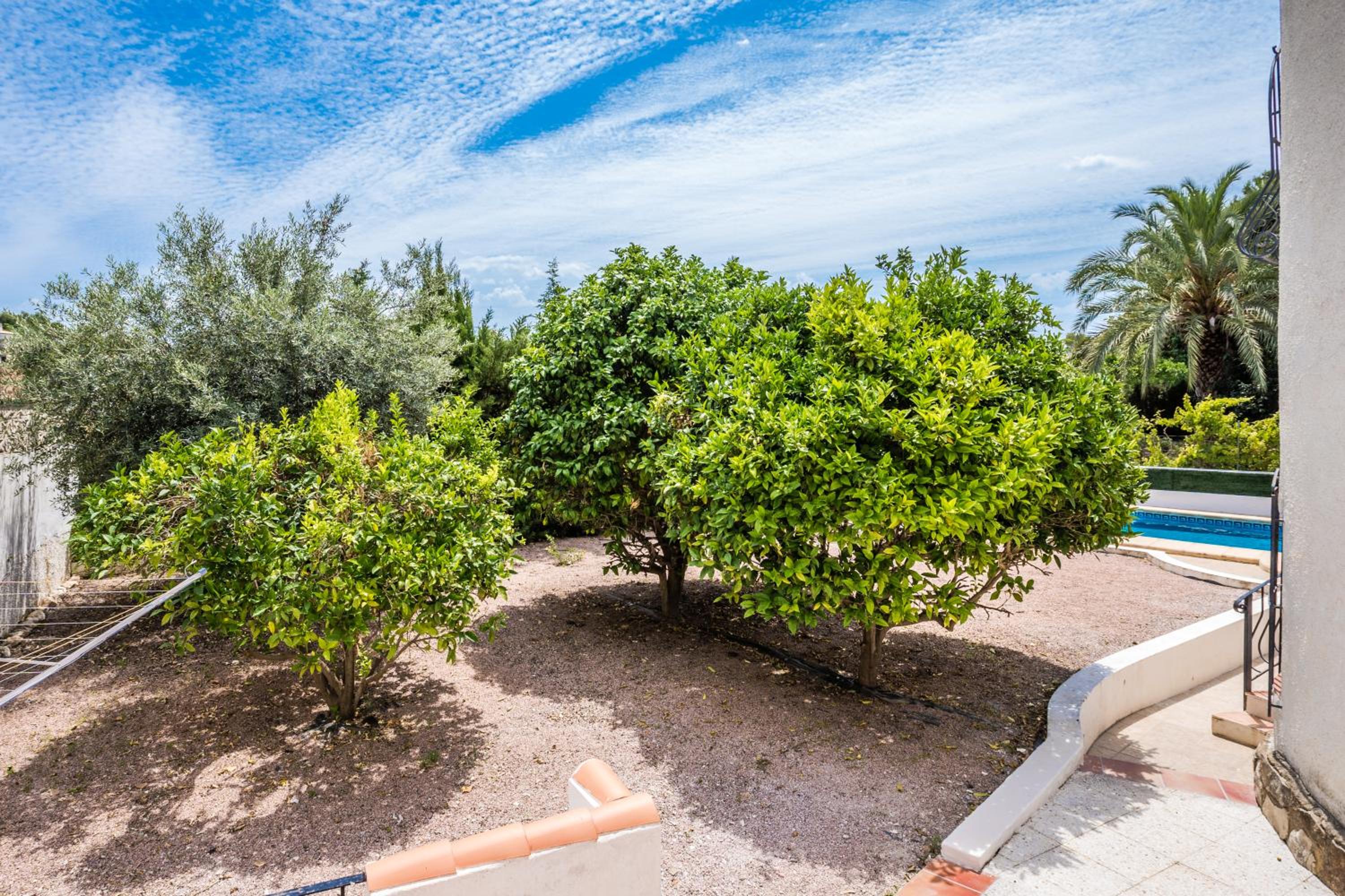 Casa Jardine