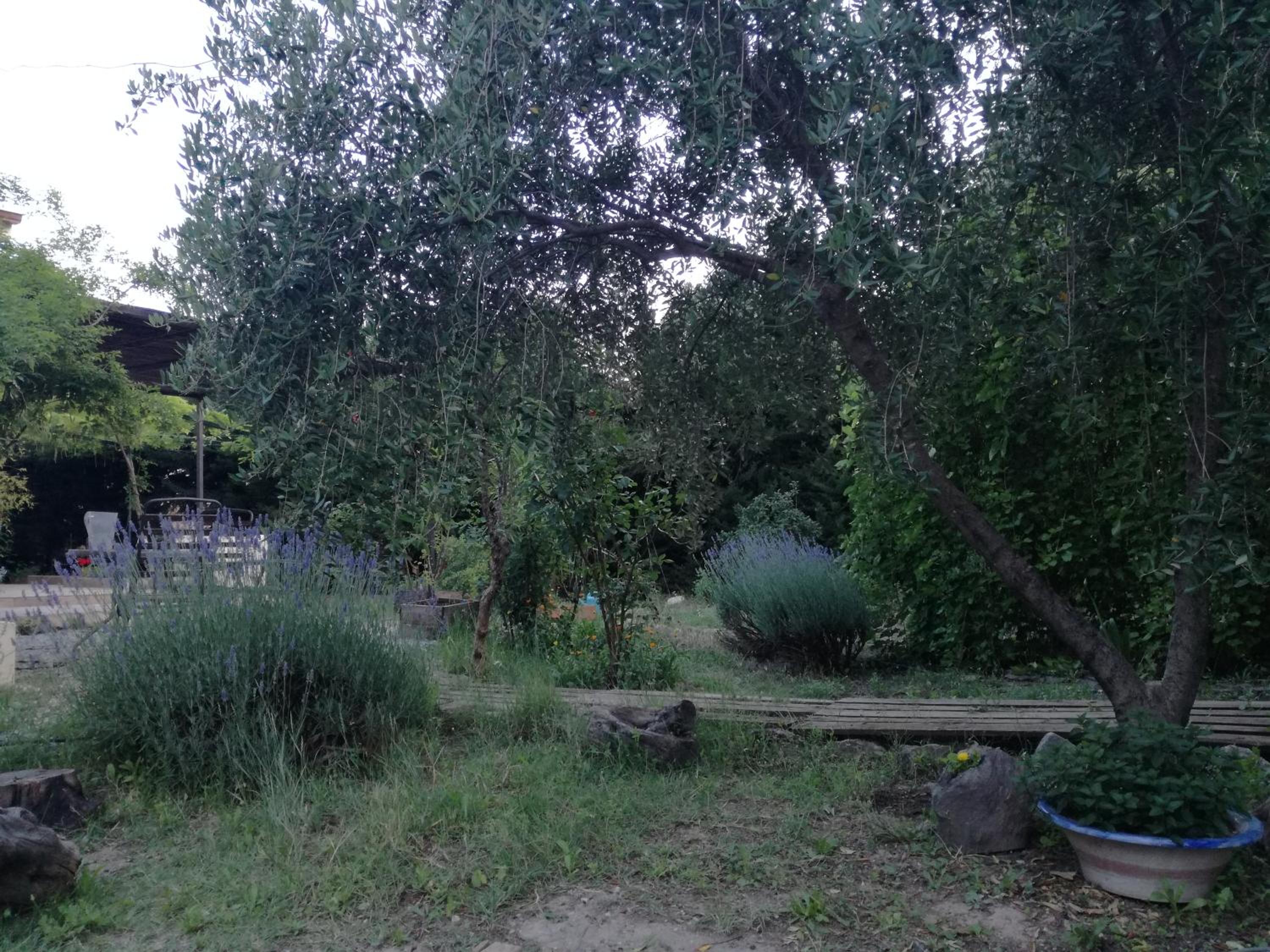 Photo 47