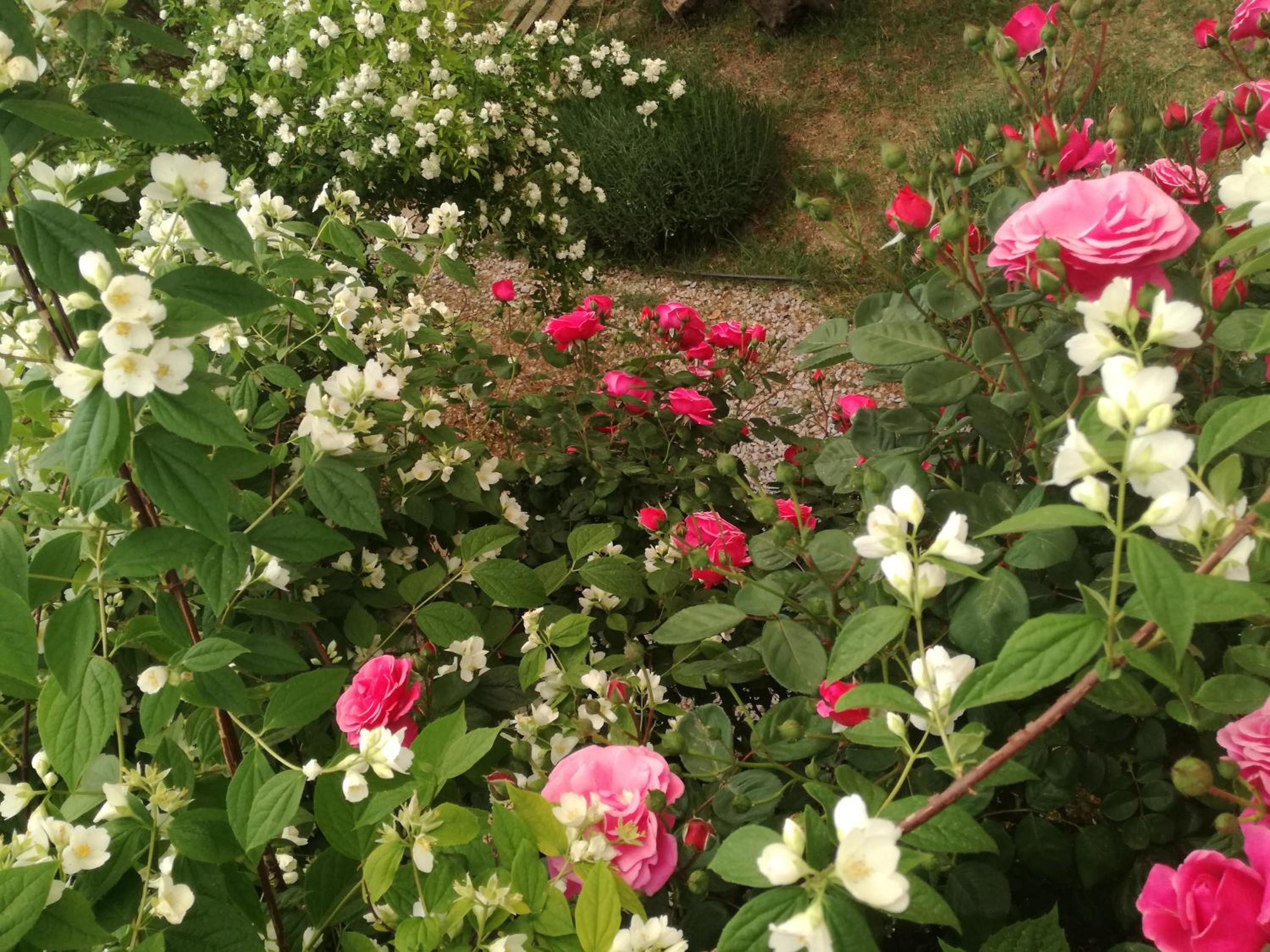 Photo 17