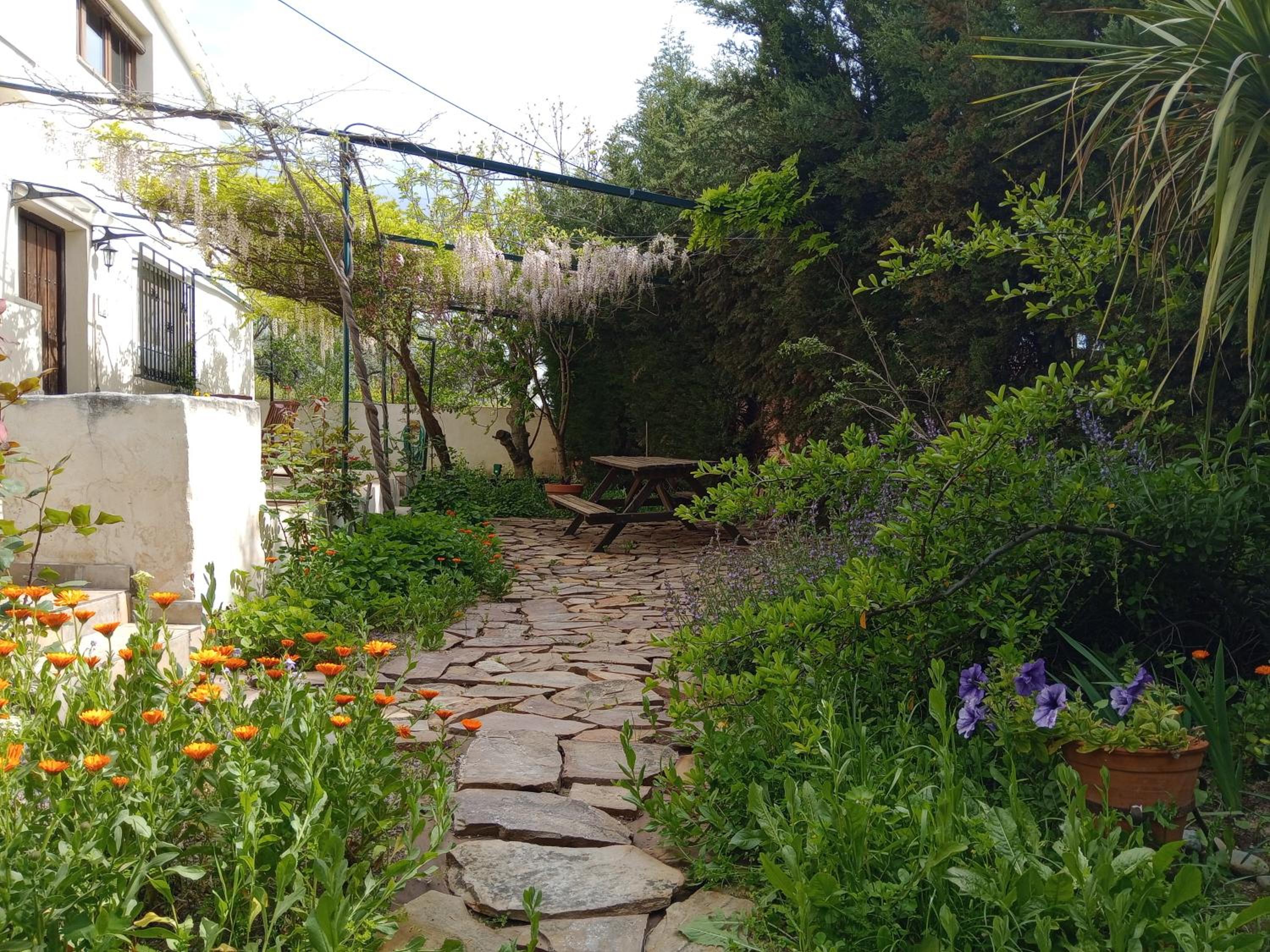 Photo 15