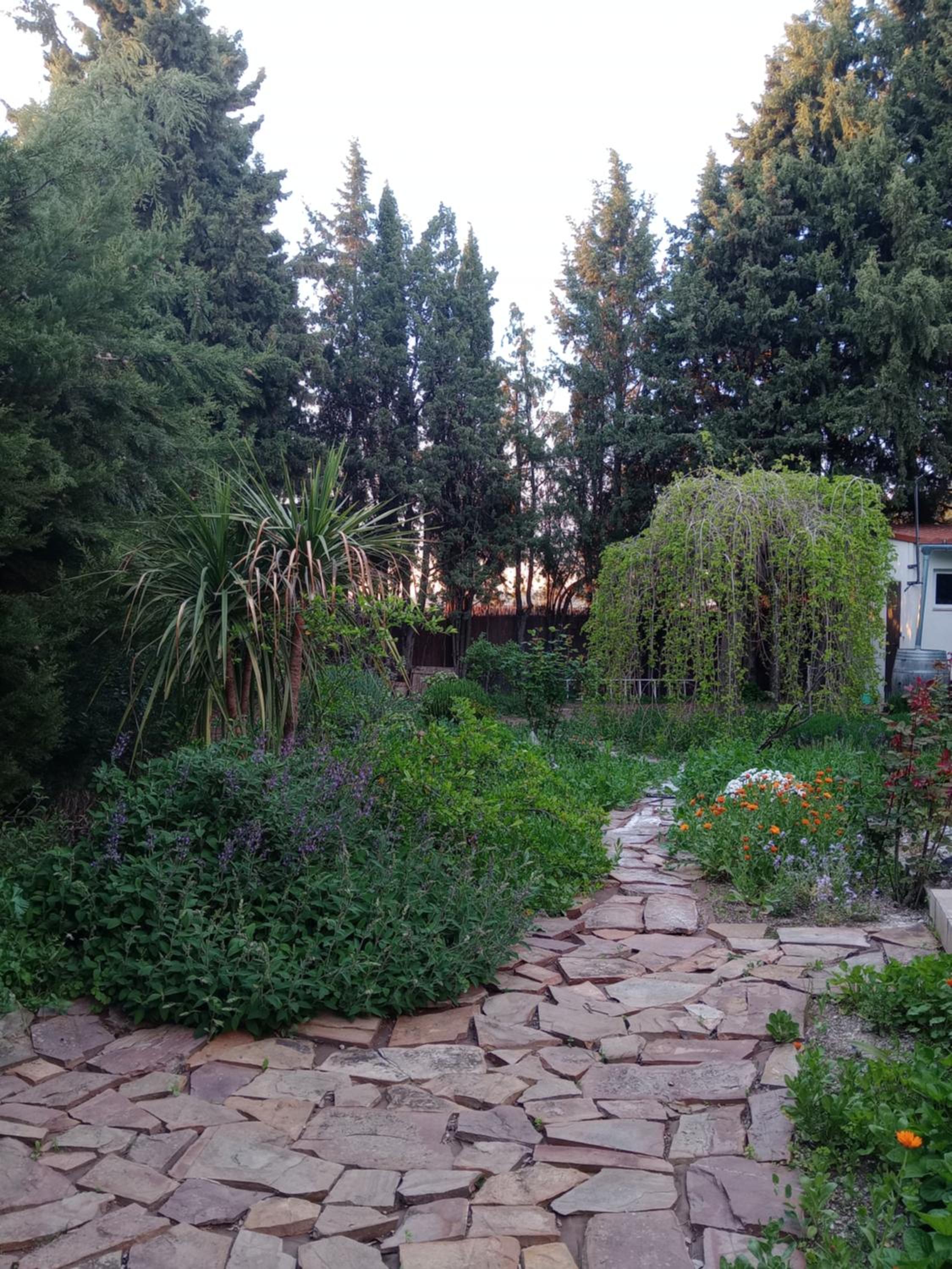 Photo 25