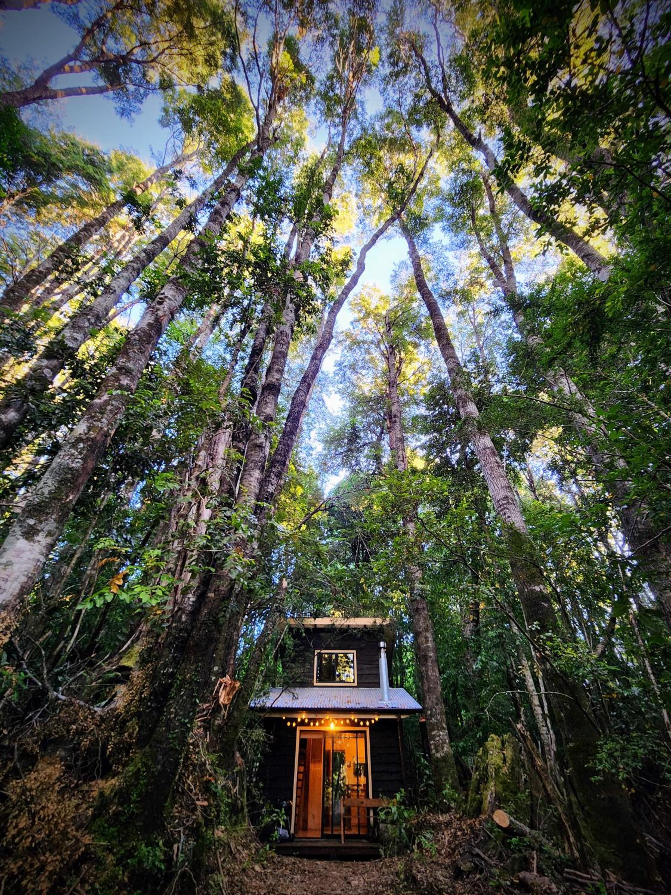 Cabaña Alto del Bosque