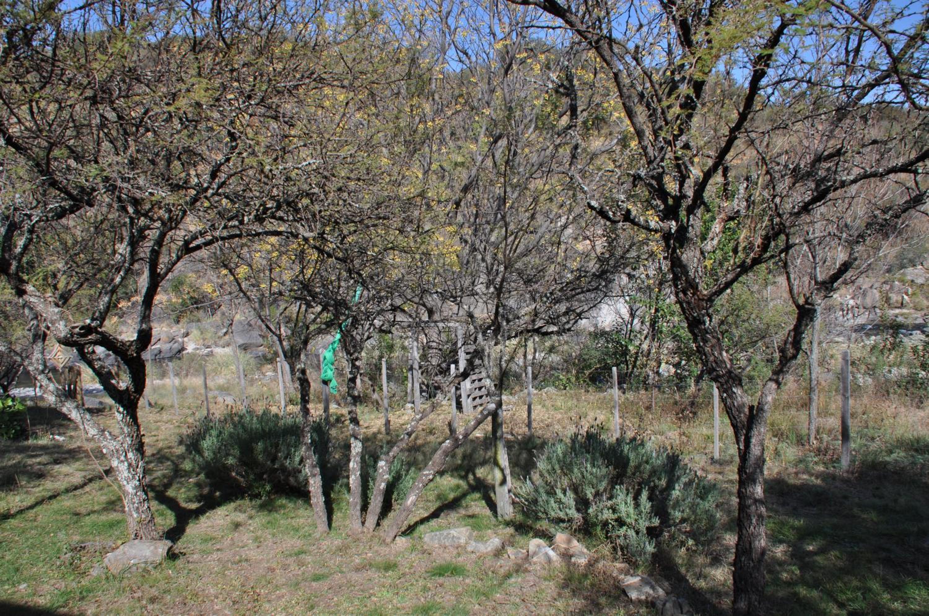 Cabaña VenTeVeo Chakra de Montaña
