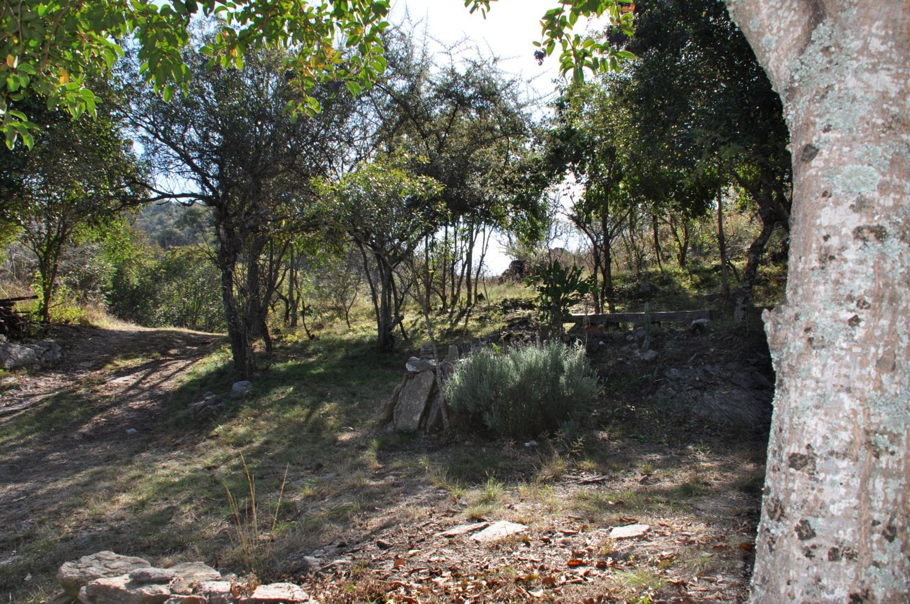 Cabaña VenTeVeo Chakra de Montaña