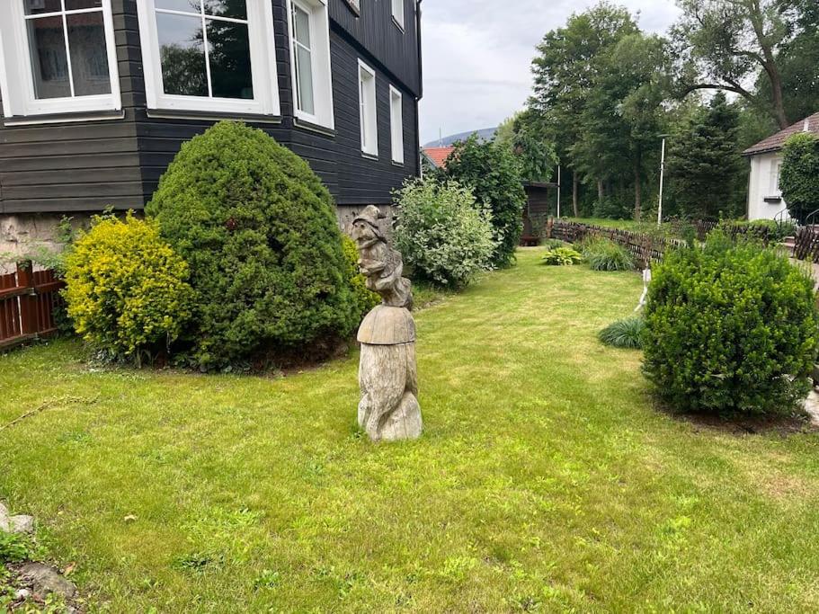 Villa Gesine FeWo plus