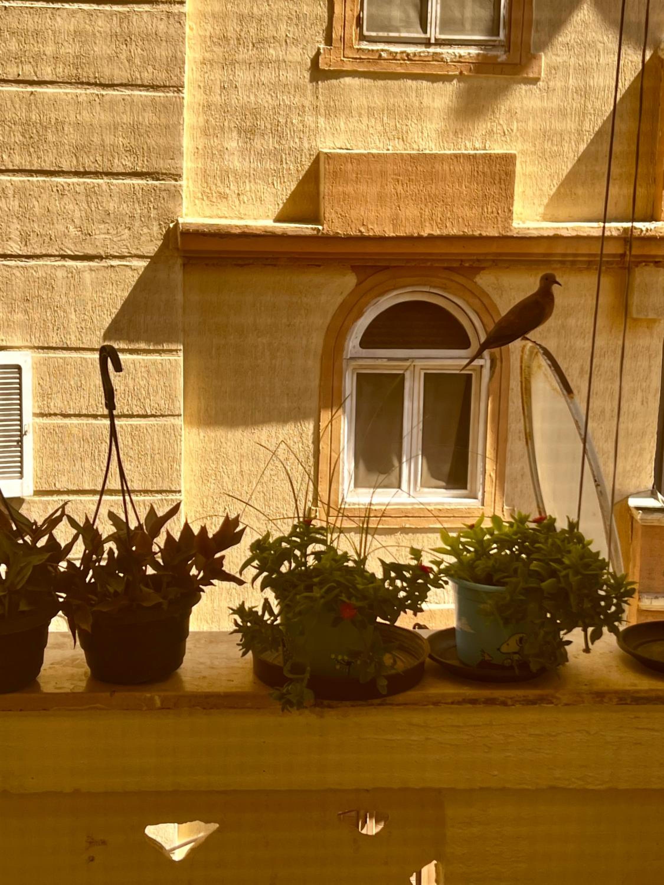 Photo 37