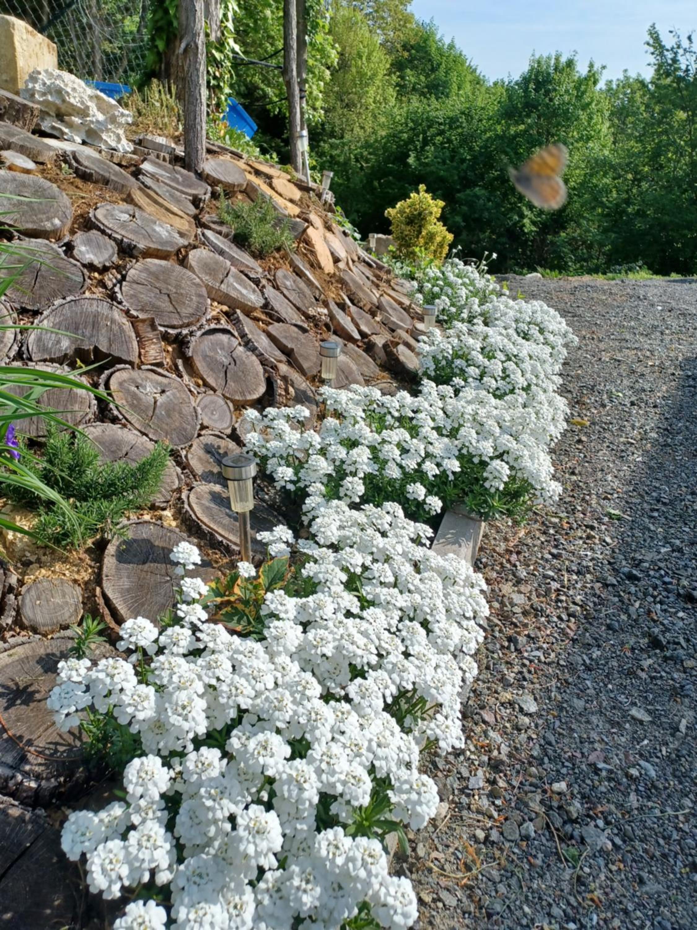 Photo 31