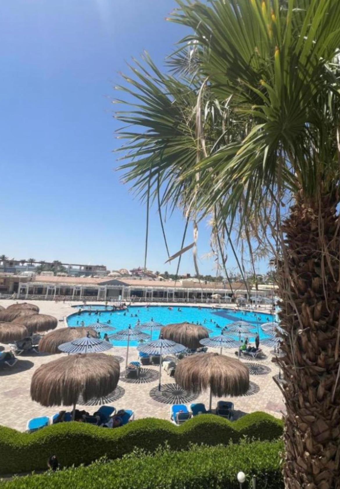 Two Bedroom Apartment in Lilly Land