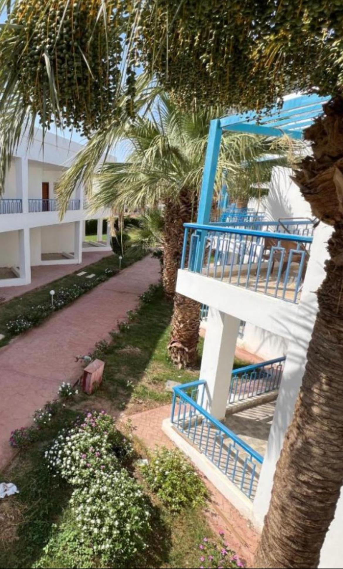 Two Bedroom Apartment in Lilly Land