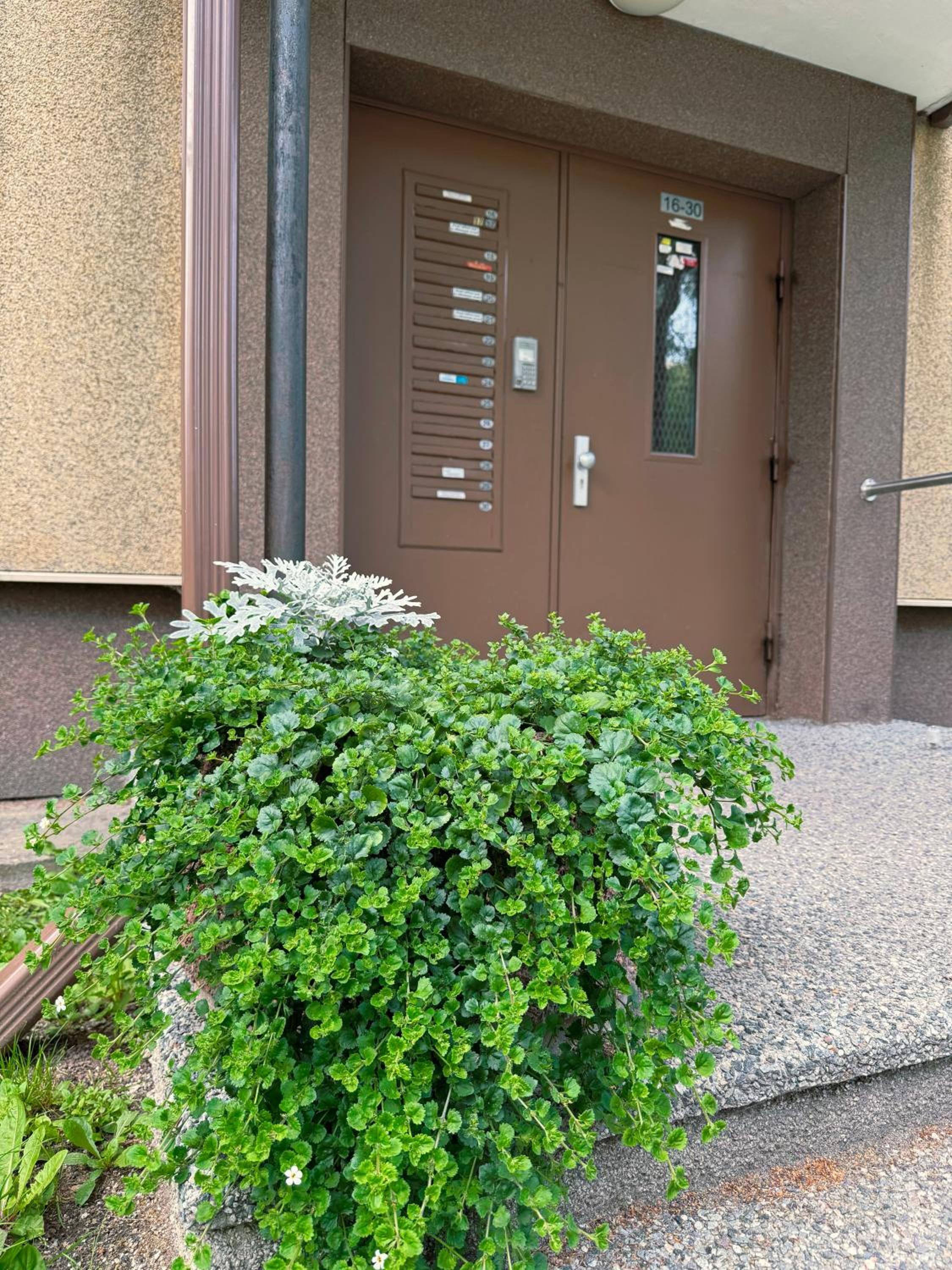 Photo 26