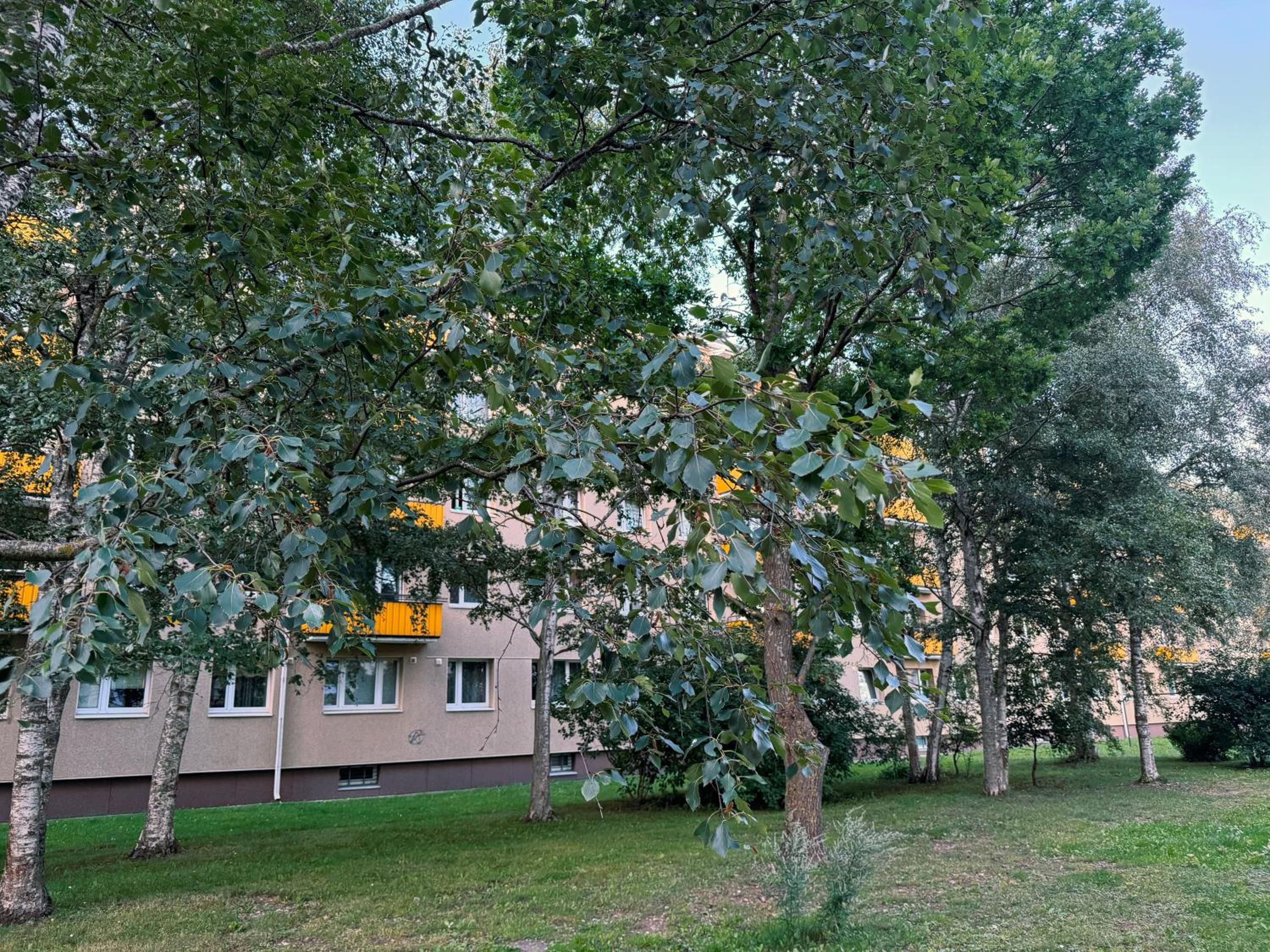 Photo 27