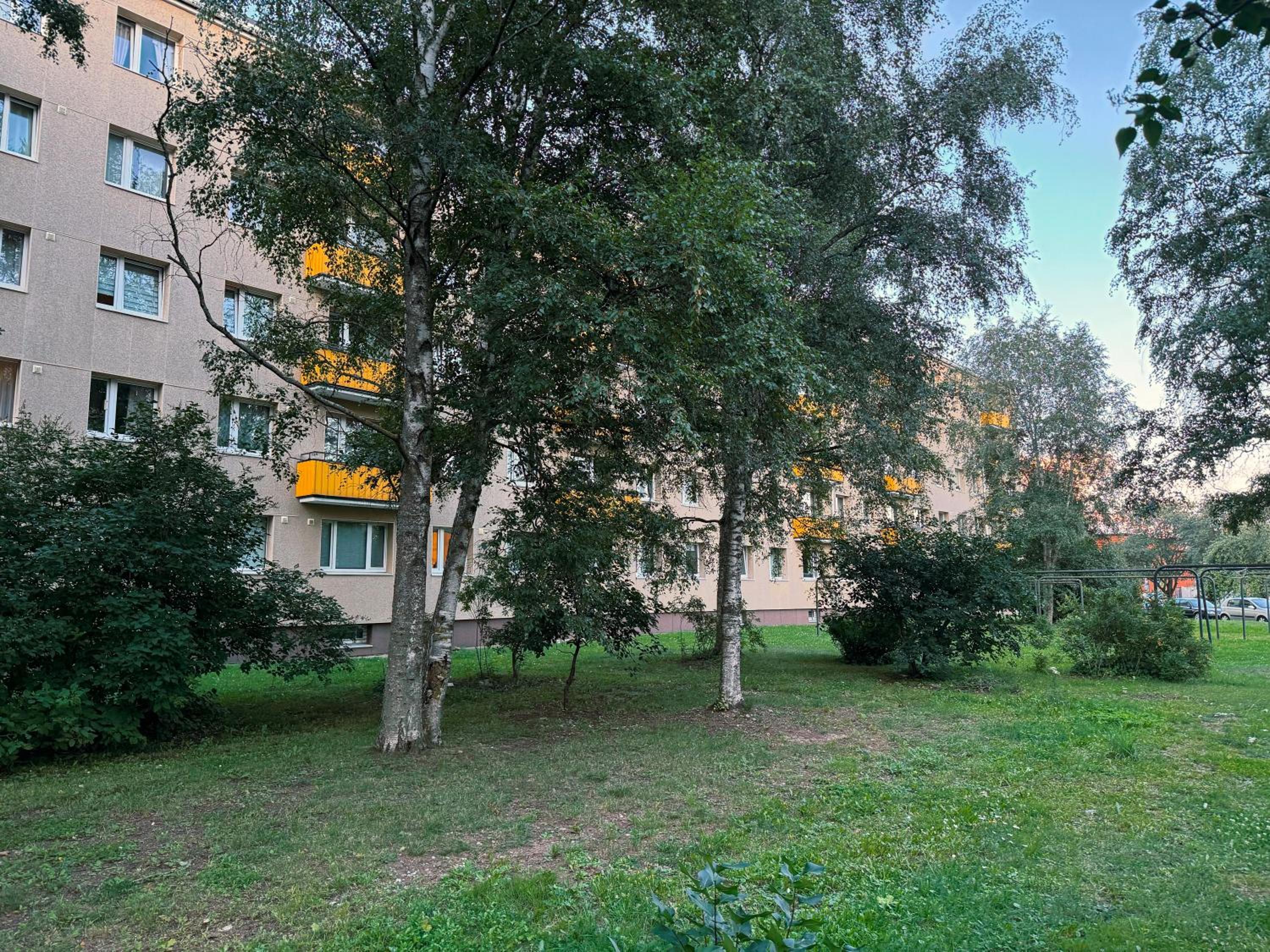 Photo 29
