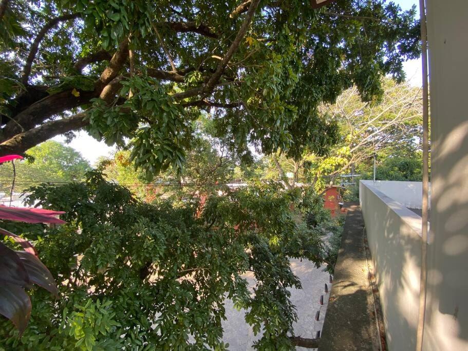 Casa SaQua Residencia Palenque