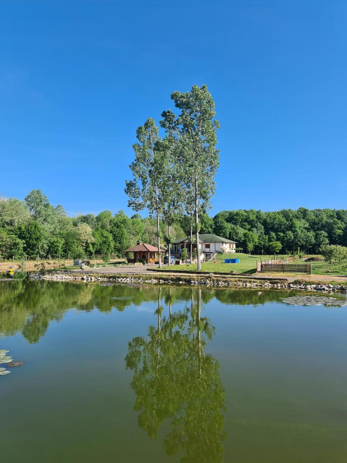 Lake House