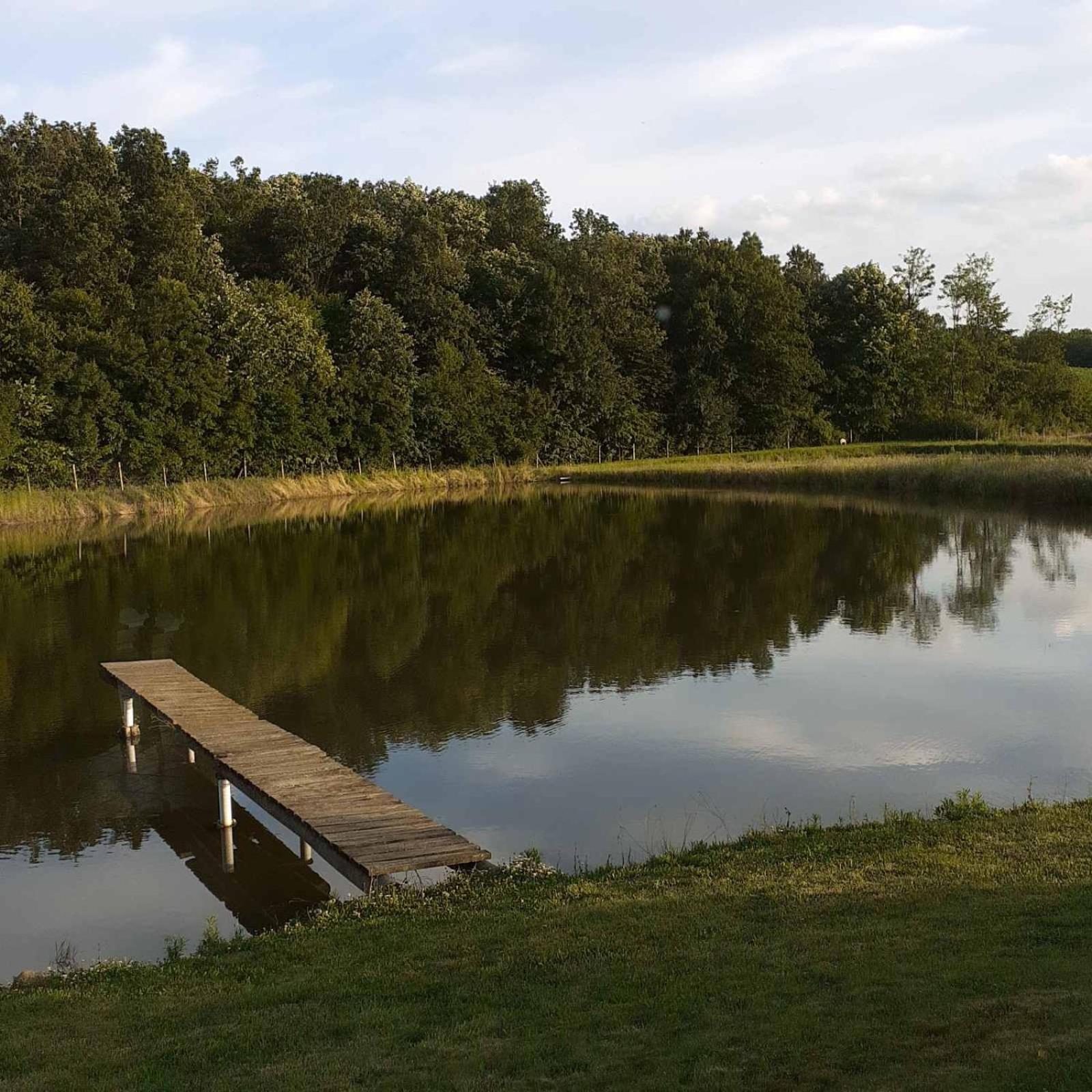 Lake House
