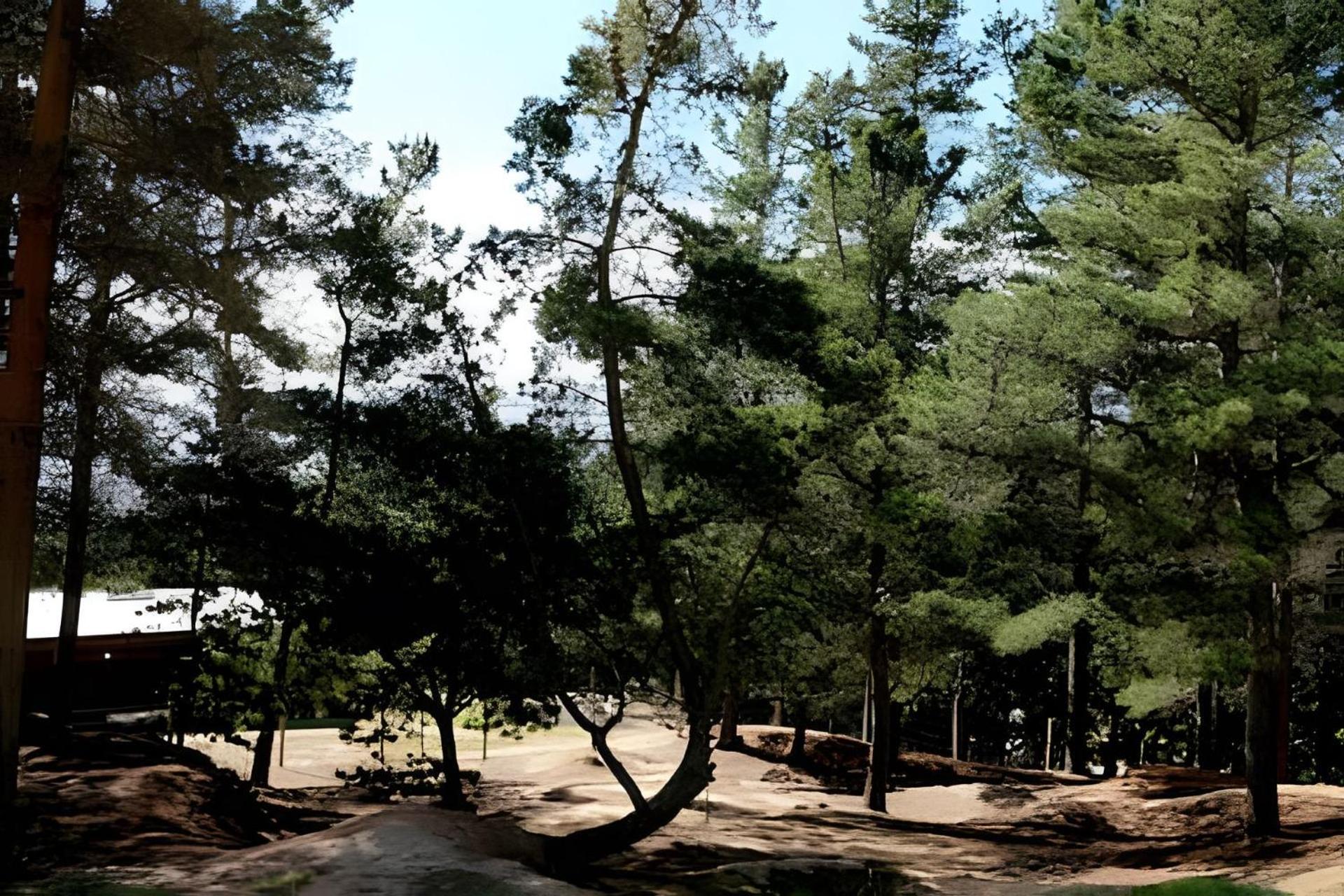 Cabañas del cerro 1