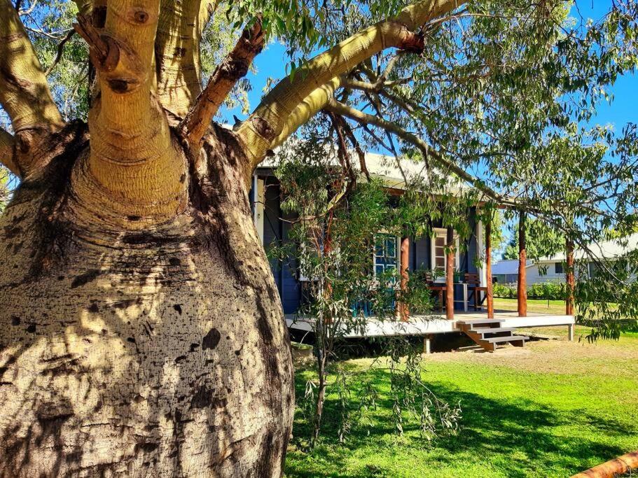 Rosewood Cottage -Entire 2 bedroom home with Netflix & WiFi