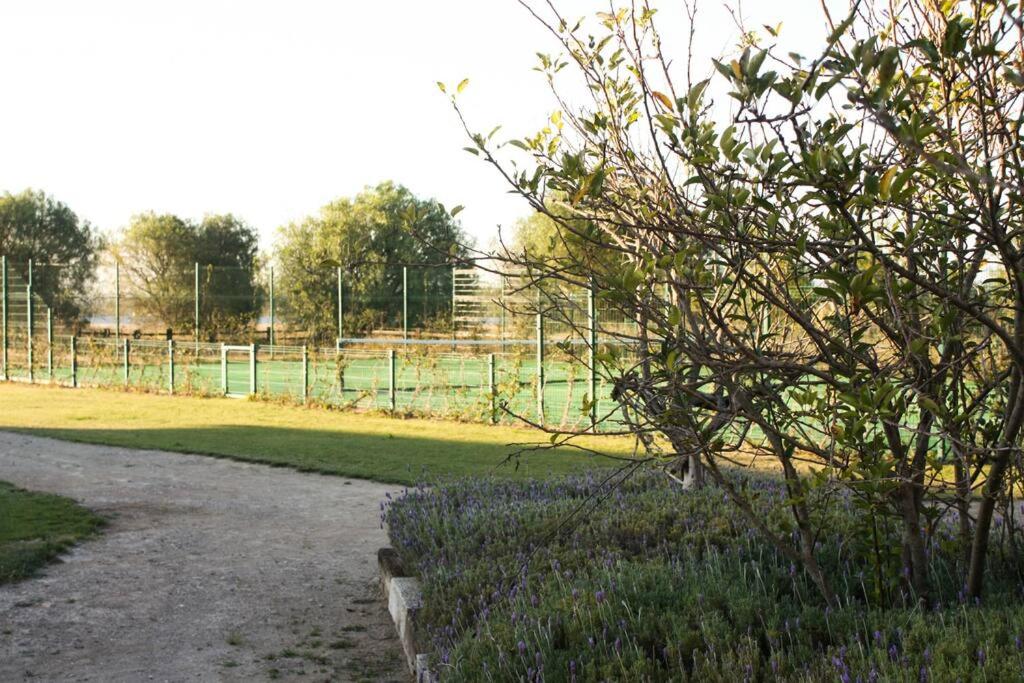 Finca Vigneto view 4