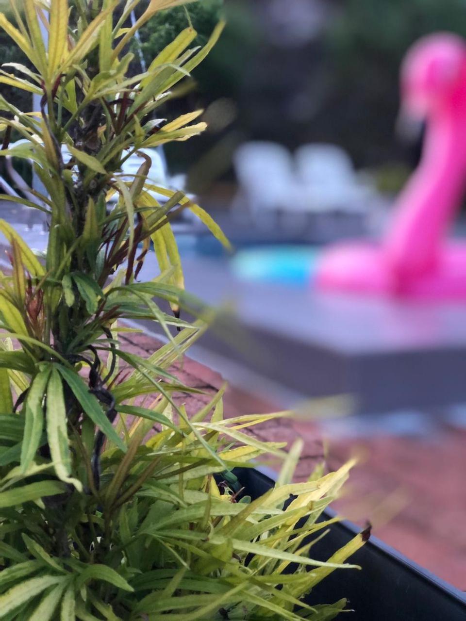 Rooma Kichi Private Pool