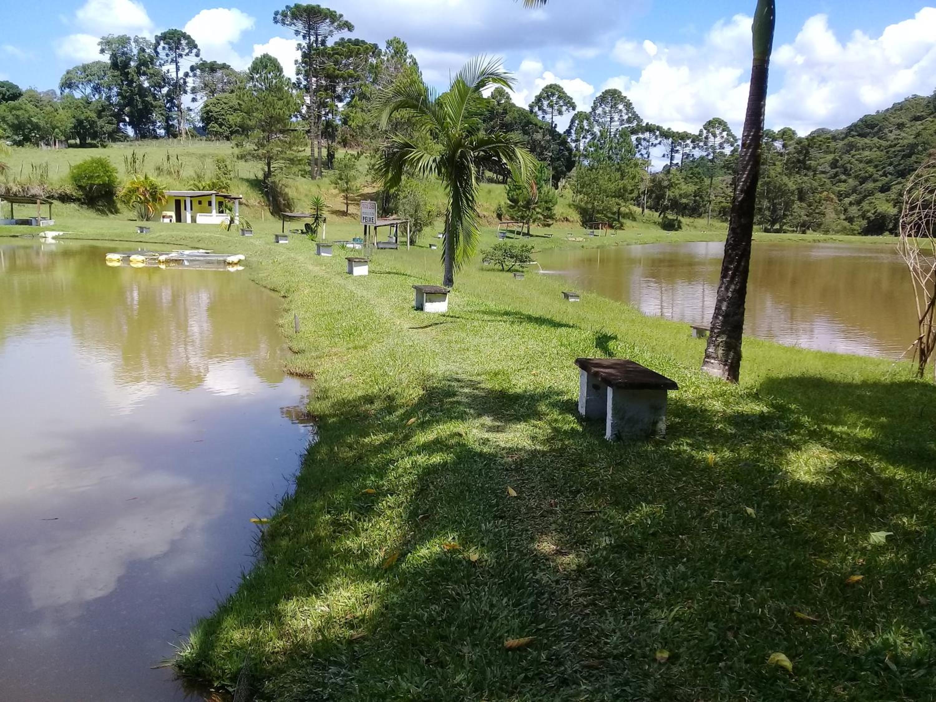 pesqueiro Vale do Peixe