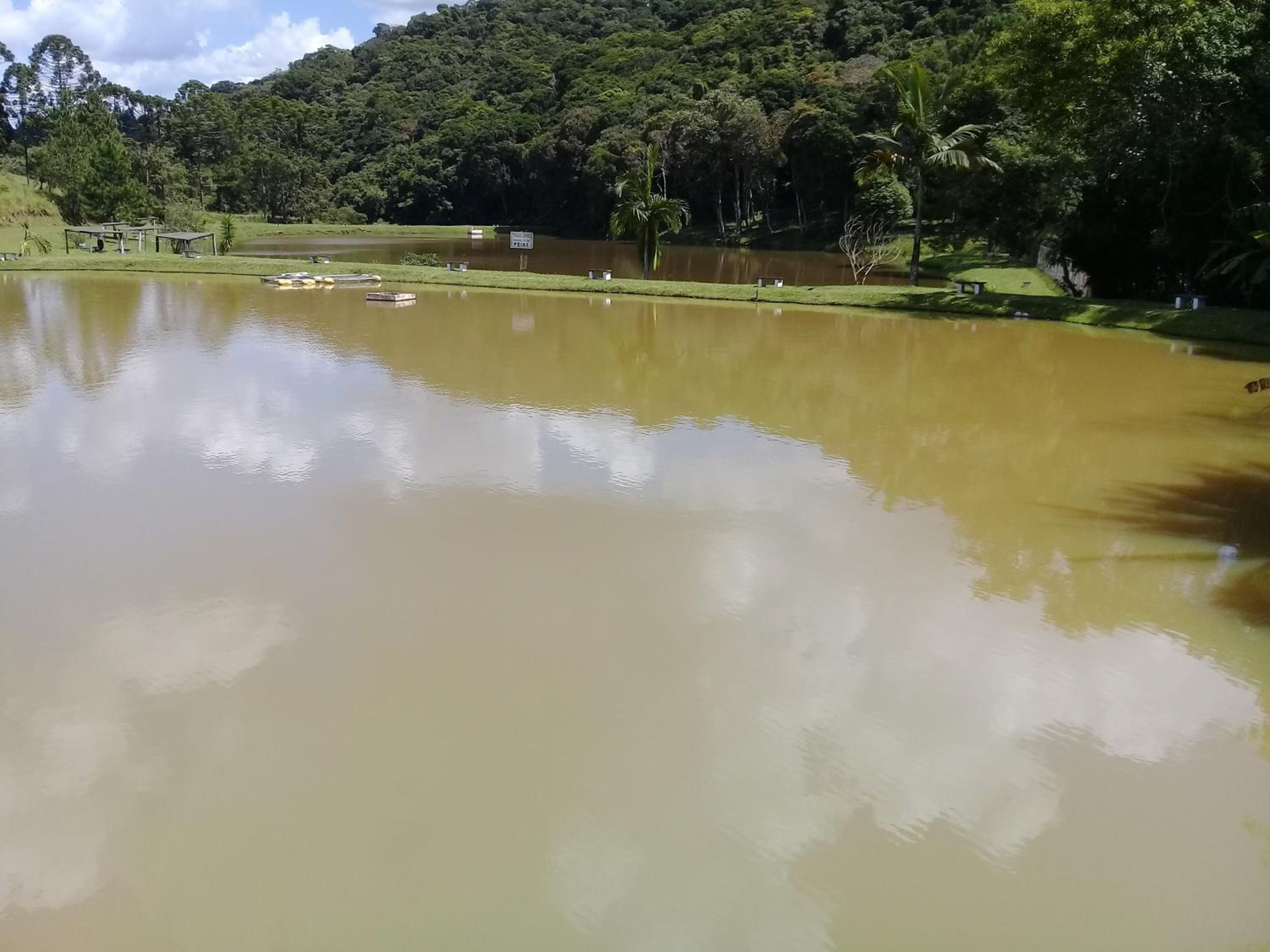 pesqueiro Vale do Peixe