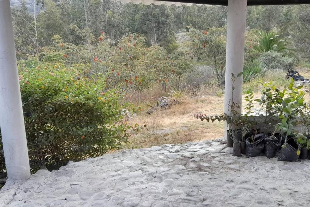 Cabaña para su descanso