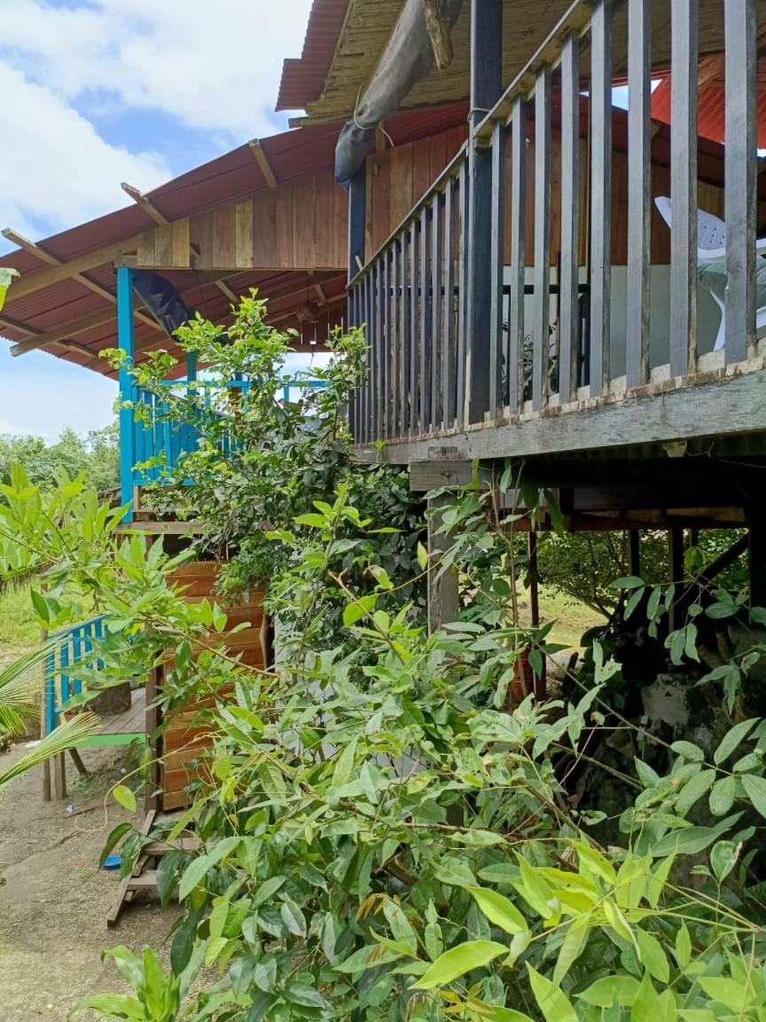 La Roca House